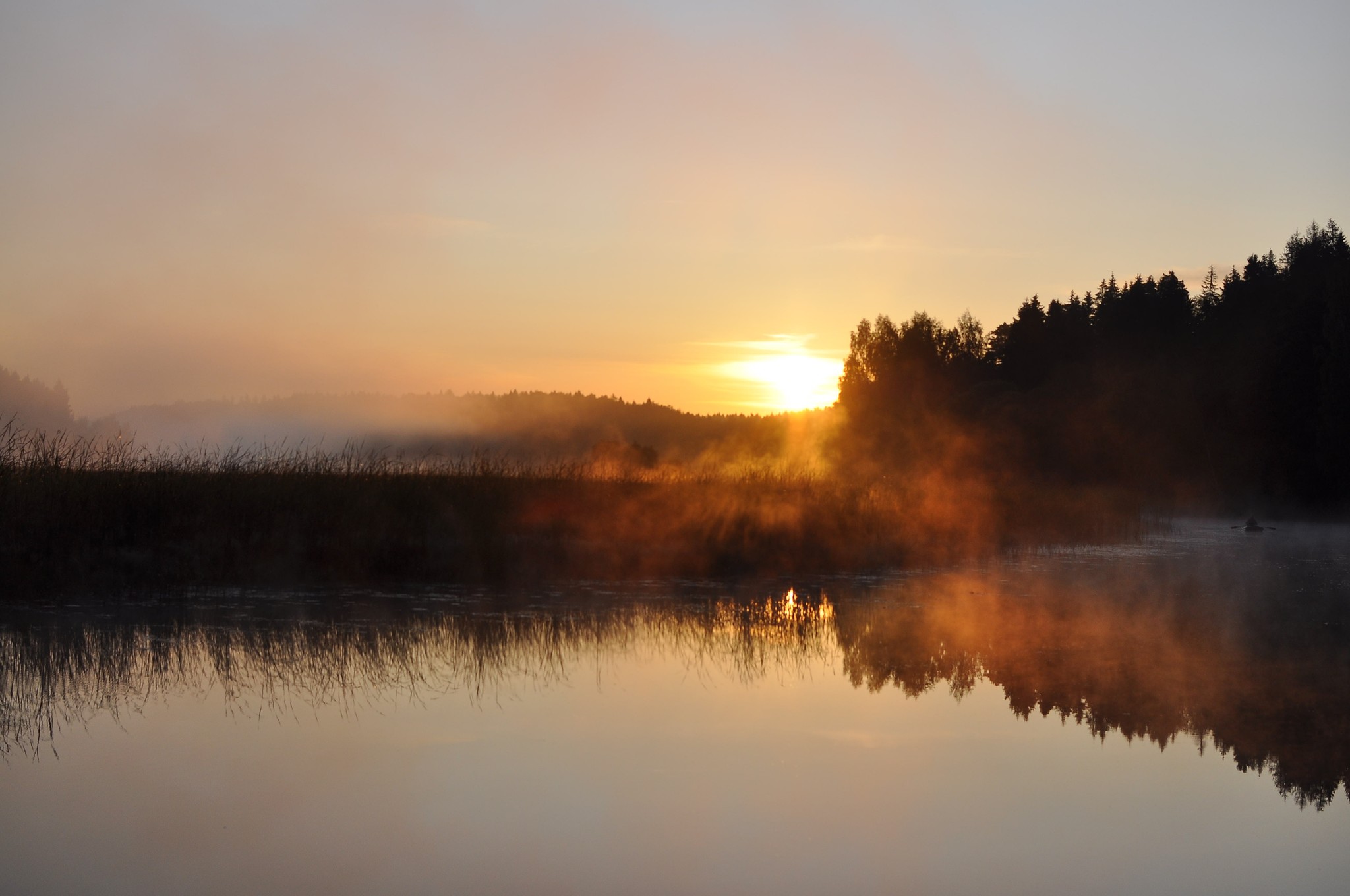 Rodent - My, Nature, Sunset, The photo, Beavers