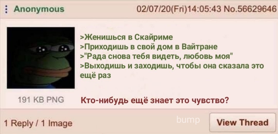 Это боль - 4chan, Игры, Тредшот, The Elder Scrolls V: Skyrim