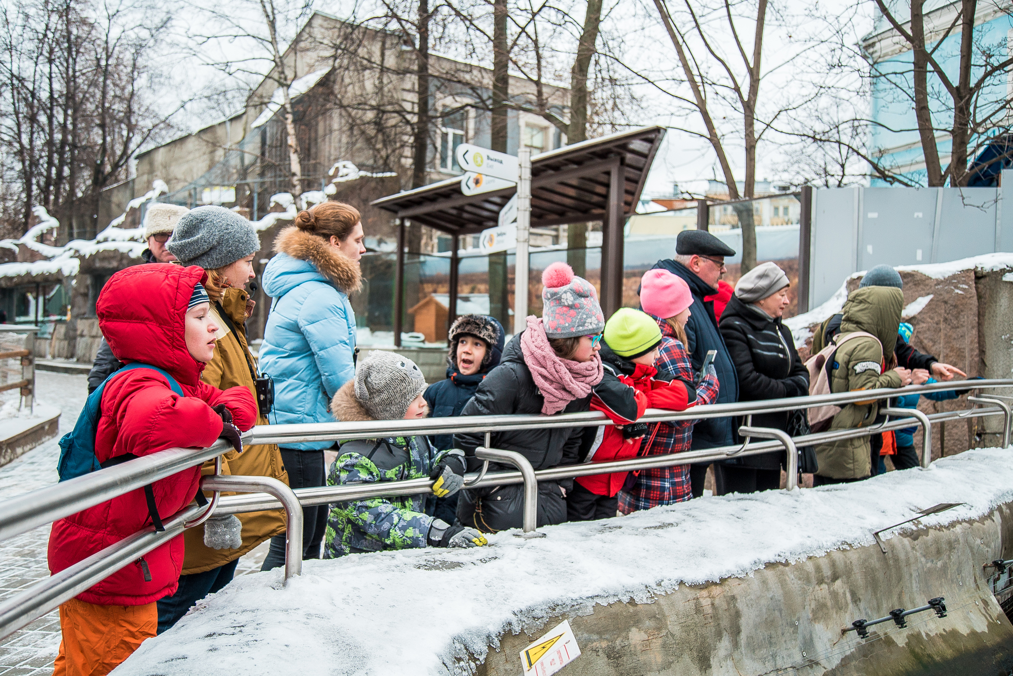 Zoo guides: protecting children's fingers - My, Longpost, Animals, Moscow Zoo, Excursion, Children