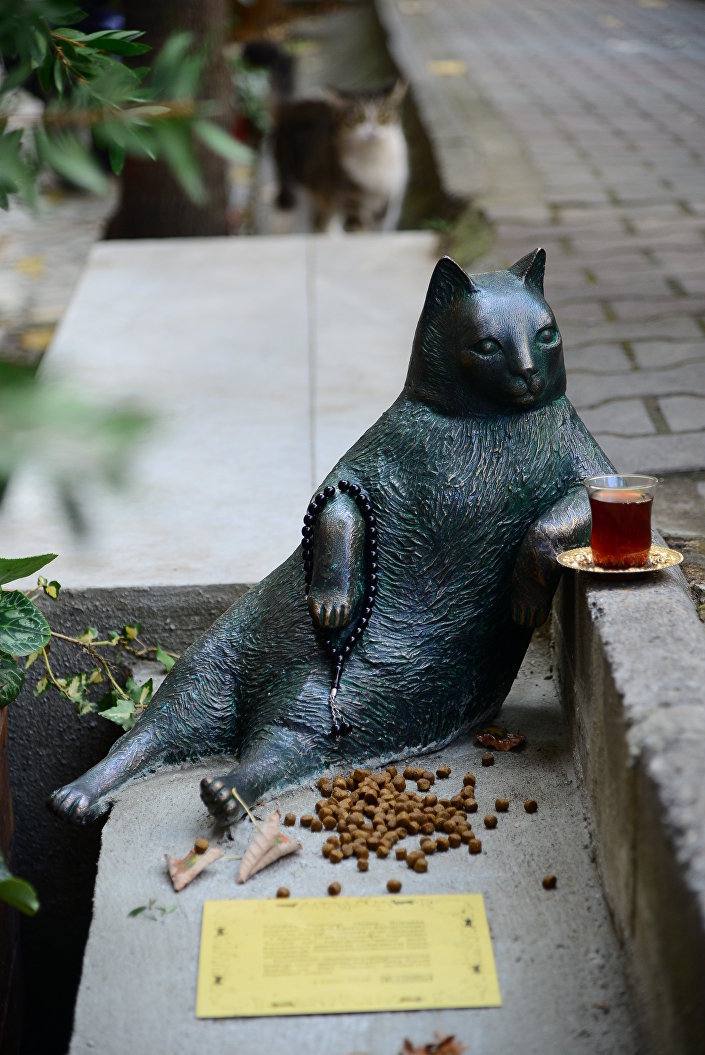 Monument to a thoughtful cat - cat, Monument, Animals, Ponder, Longpost, Istanbul, Turkey