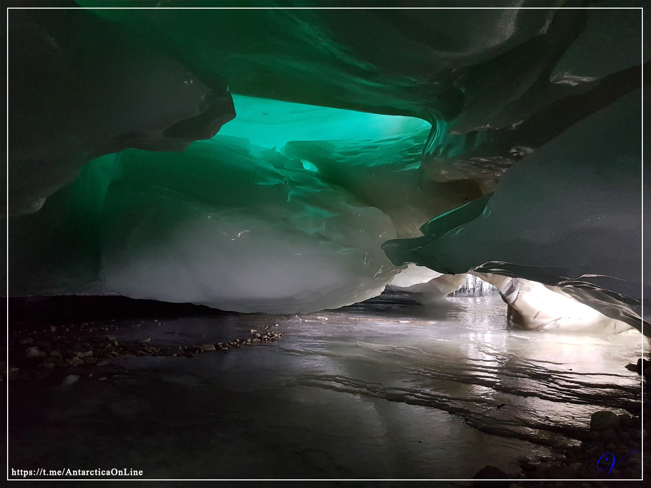 The first results of the outgoing summer - My, Antarctica, Antarctica On-Line, Novolazarevskaya Station, Longpost