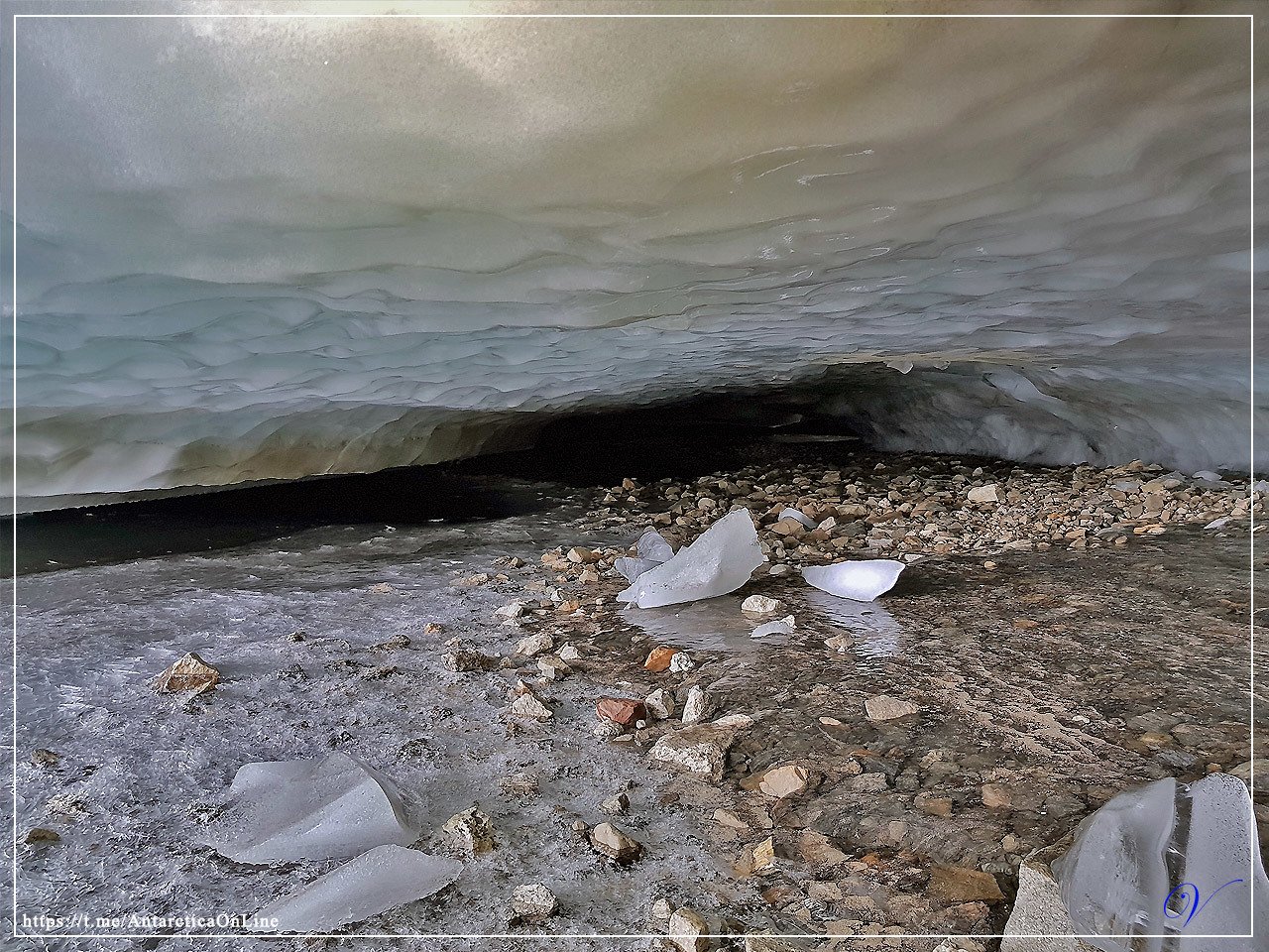 The first results of the outgoing summer - My, Antarctica, Antarctica On-Line, Novolazarevskaya Station, Longpost