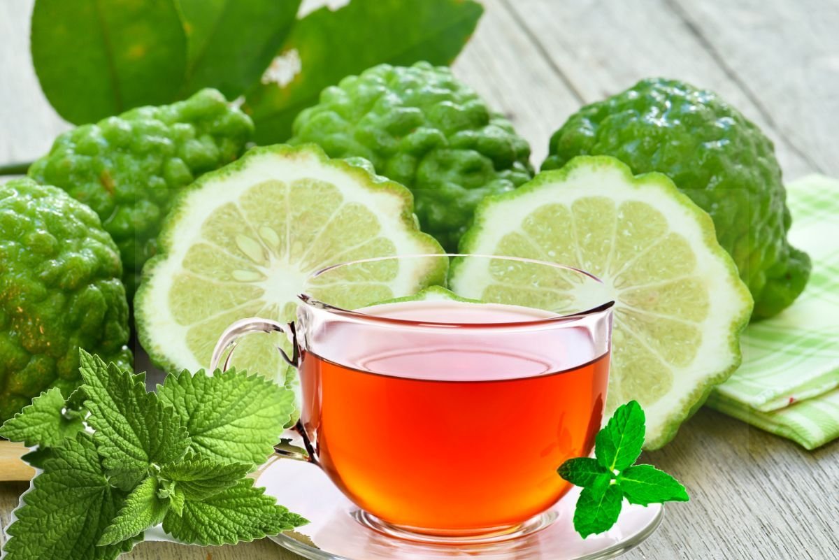 How did bergamot tea come about? - Tea, History (science), Earl Grey, Longpost