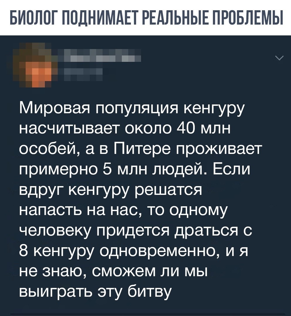 План против нашествия кенгуру - Кенгуру, Скриншот, Комментарии, Санкт-Петербург, Длиннопост