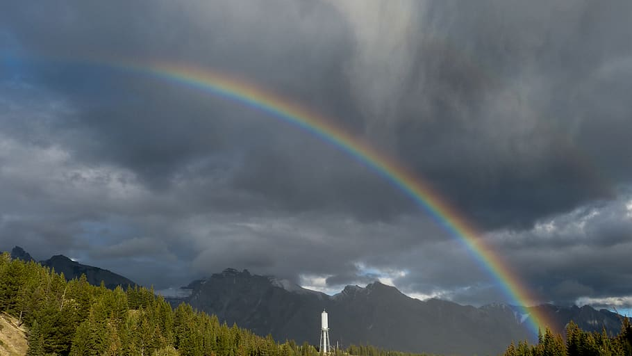Rainbow | Пикабу