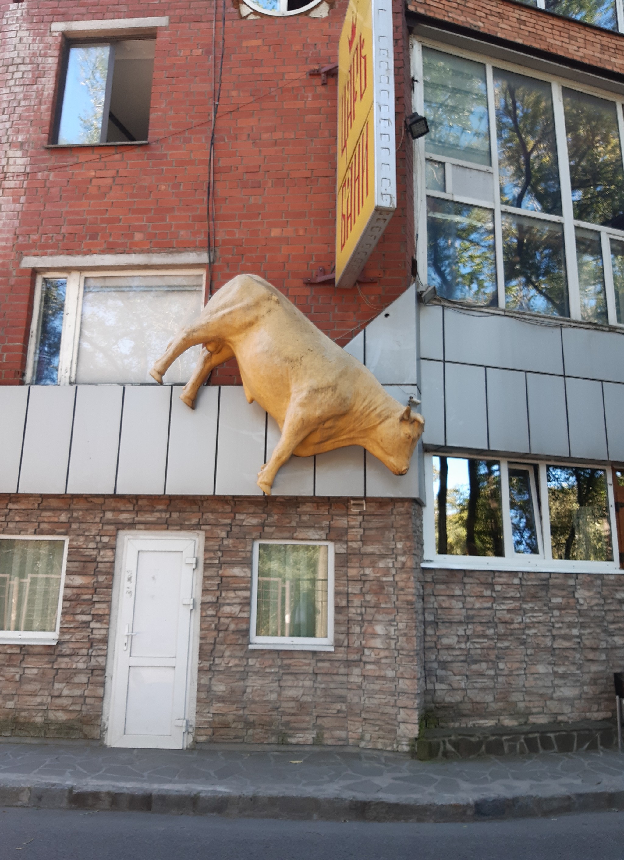 What does this have to do with baths? - My, Bull, Hanging, Vladivostok, Longpost