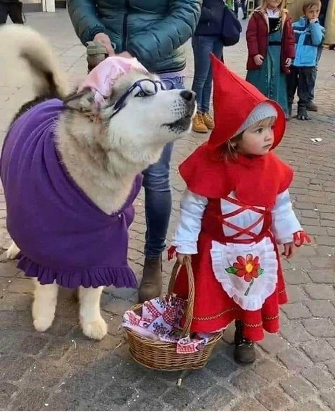 Cute cosplay :3 - Little Red Riding Hood, Milota, Alaskan Malamute, Dog, Children, Cosplay