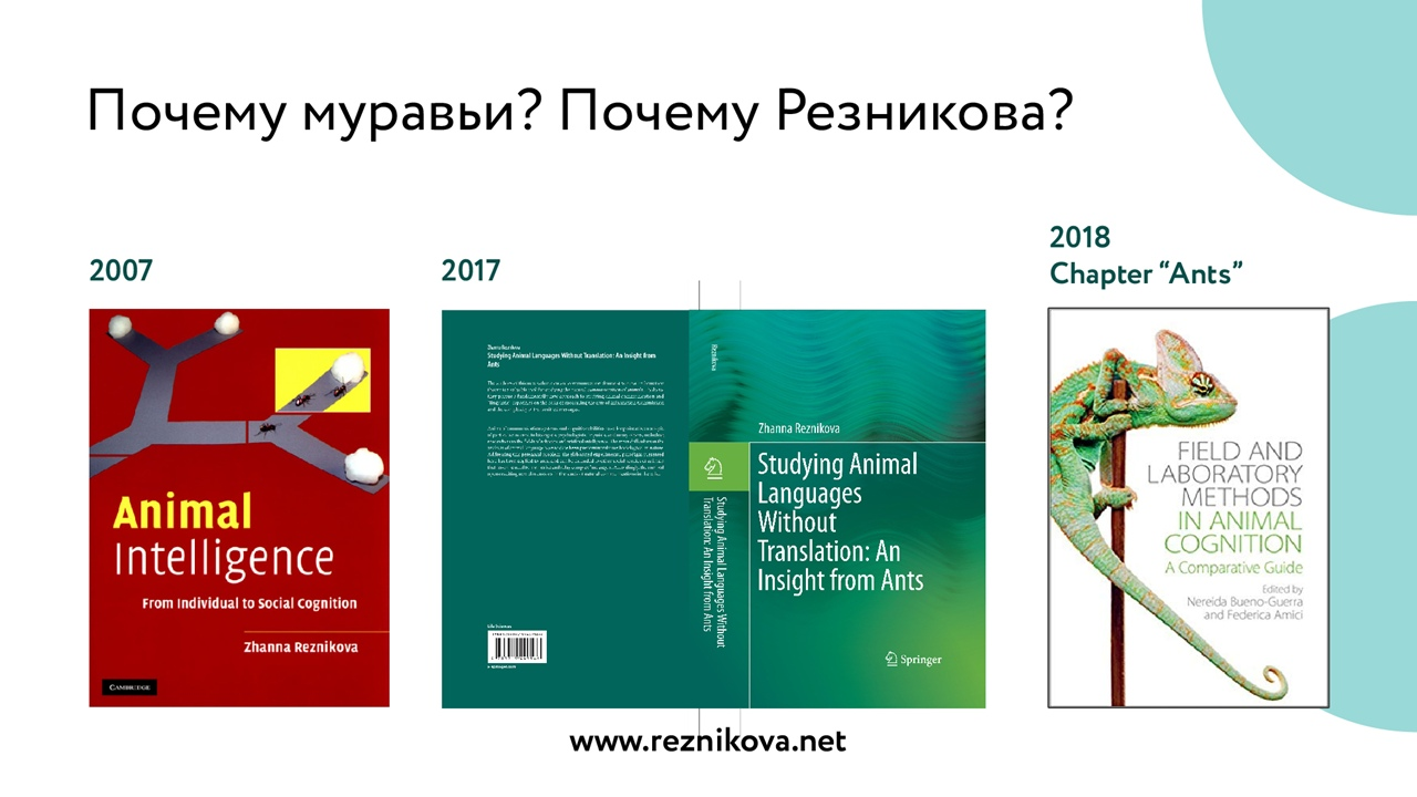 прожорливый муравей способный съесть целый дом 6 (95) фото