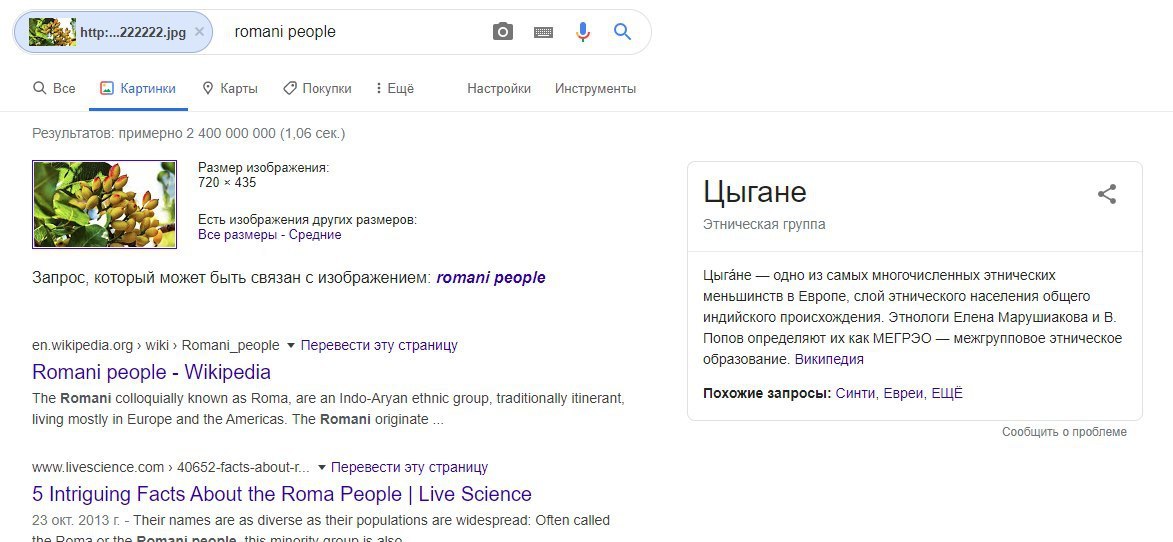 Если вы вдруг не знали, как выглядят цыгане - Моё, Скриншот, Цыгане, Поиск по картинкам, Неожиданно