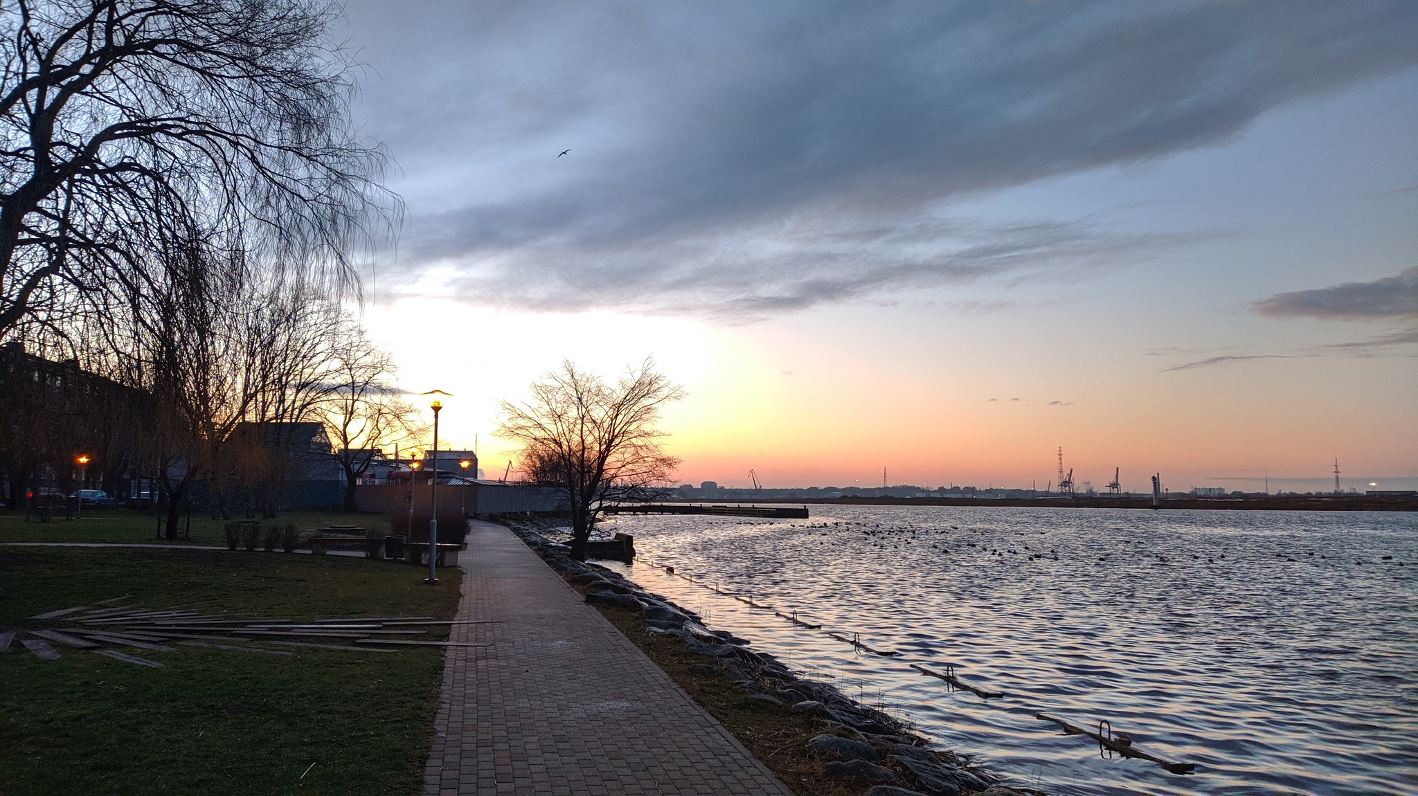 In the morning at dawn - My, dawn, Morning, Duck, The pier, River, Town, Longpost