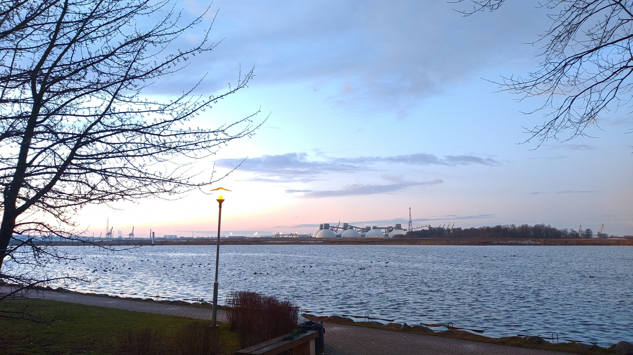 In the morning at dawn - My, dawn, Morning, Duck, The pier, River, Town, Longpost