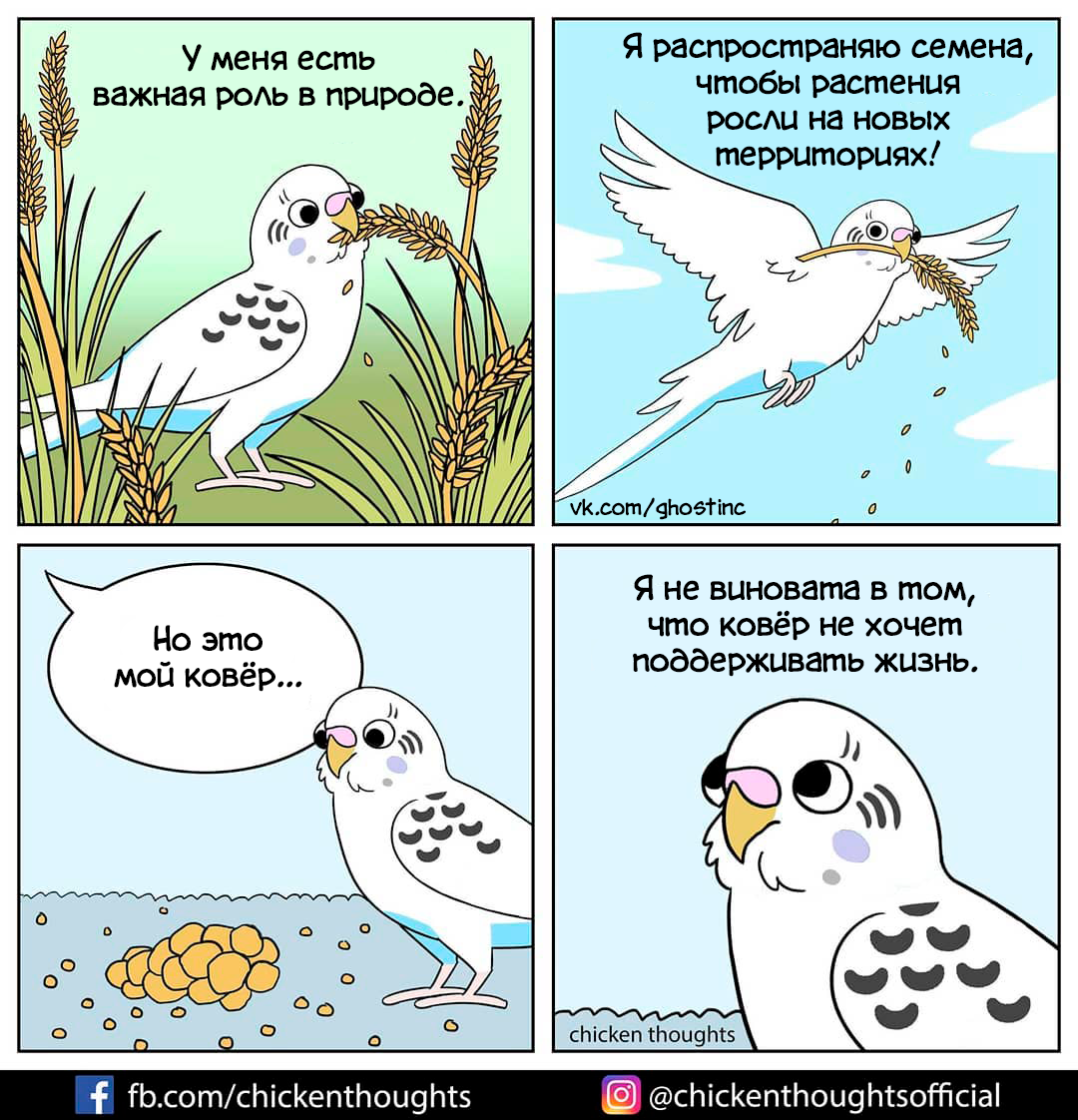 Parrot - Comics, Translated by myself, A parrot