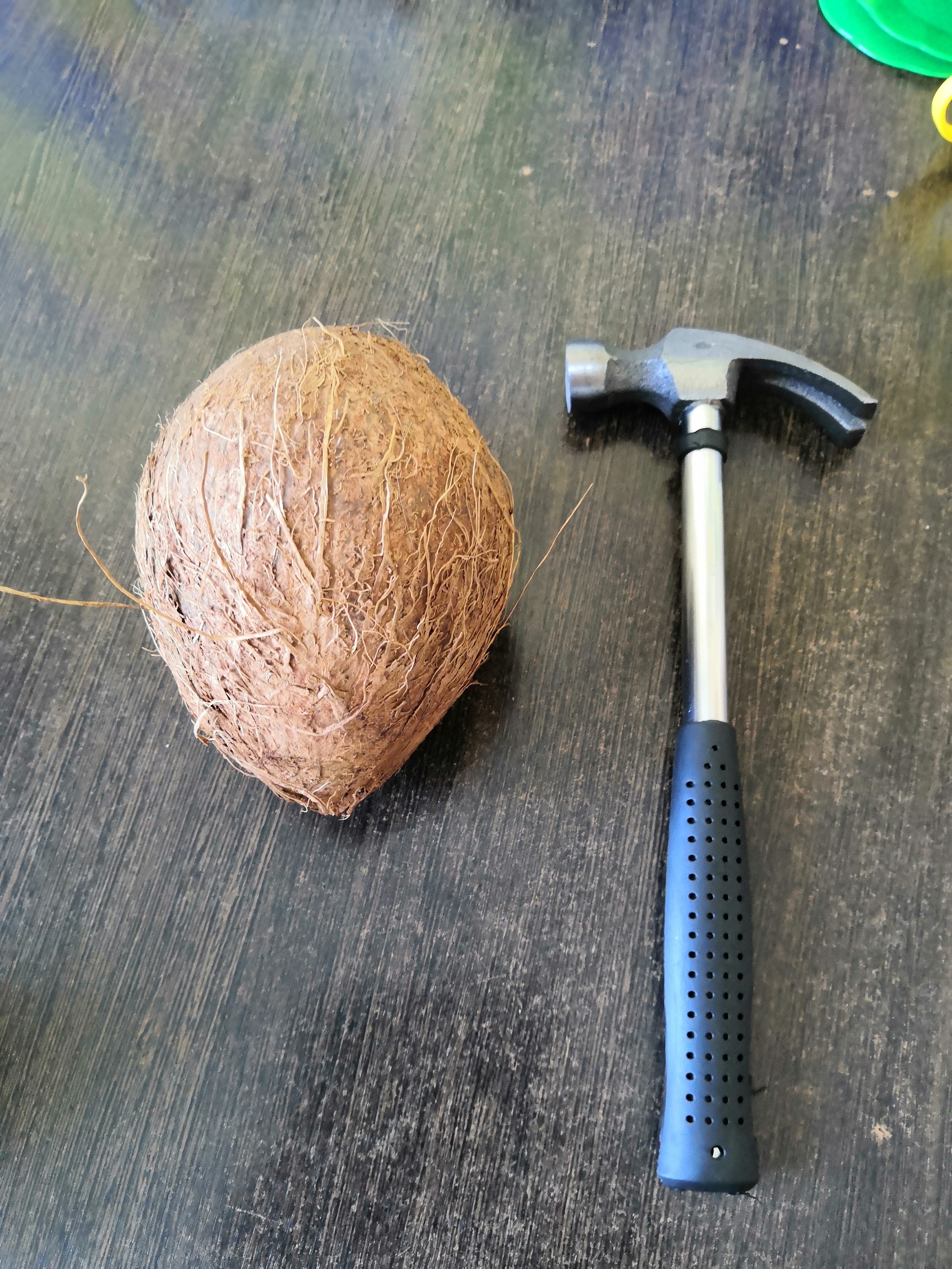 Homemade coconut milk - My, Recipe, Coconut milk, Coconut chips, Longpost