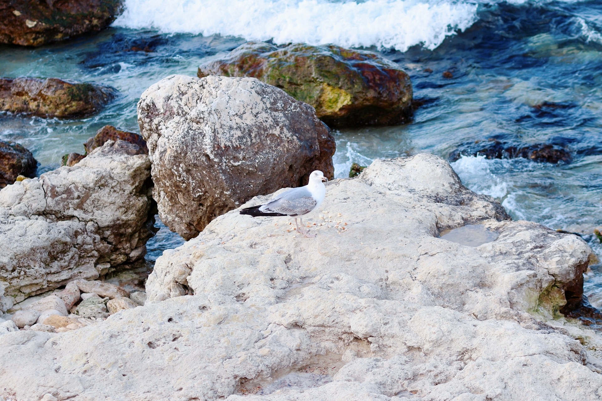 Walk by the sea. Lots of photos. Part 1. My - My, The photo, Landscape, Sea, Winter, Longpost