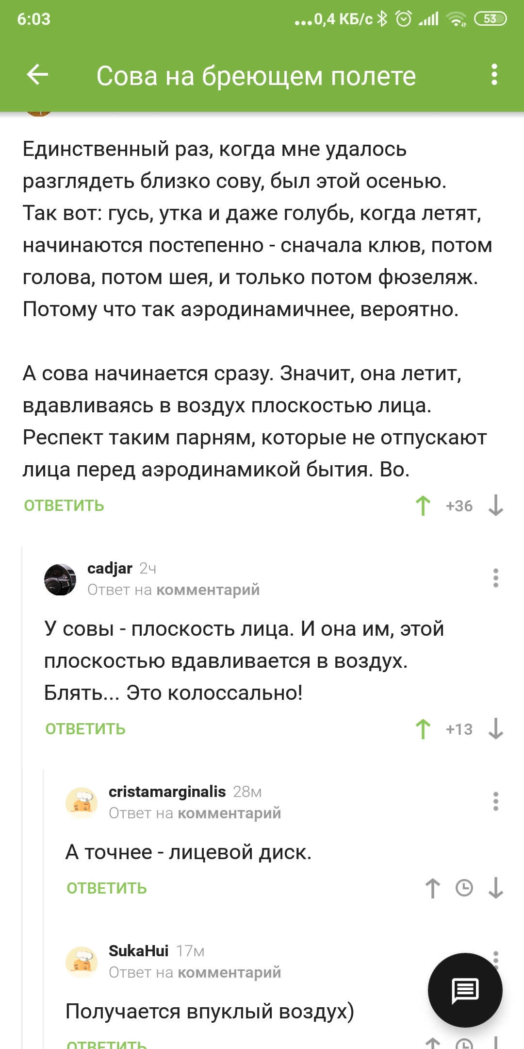 Плоскость лица совы... - Комментарии, Обсуждение, Сова, Комментарии на Пикабу, Скриншот