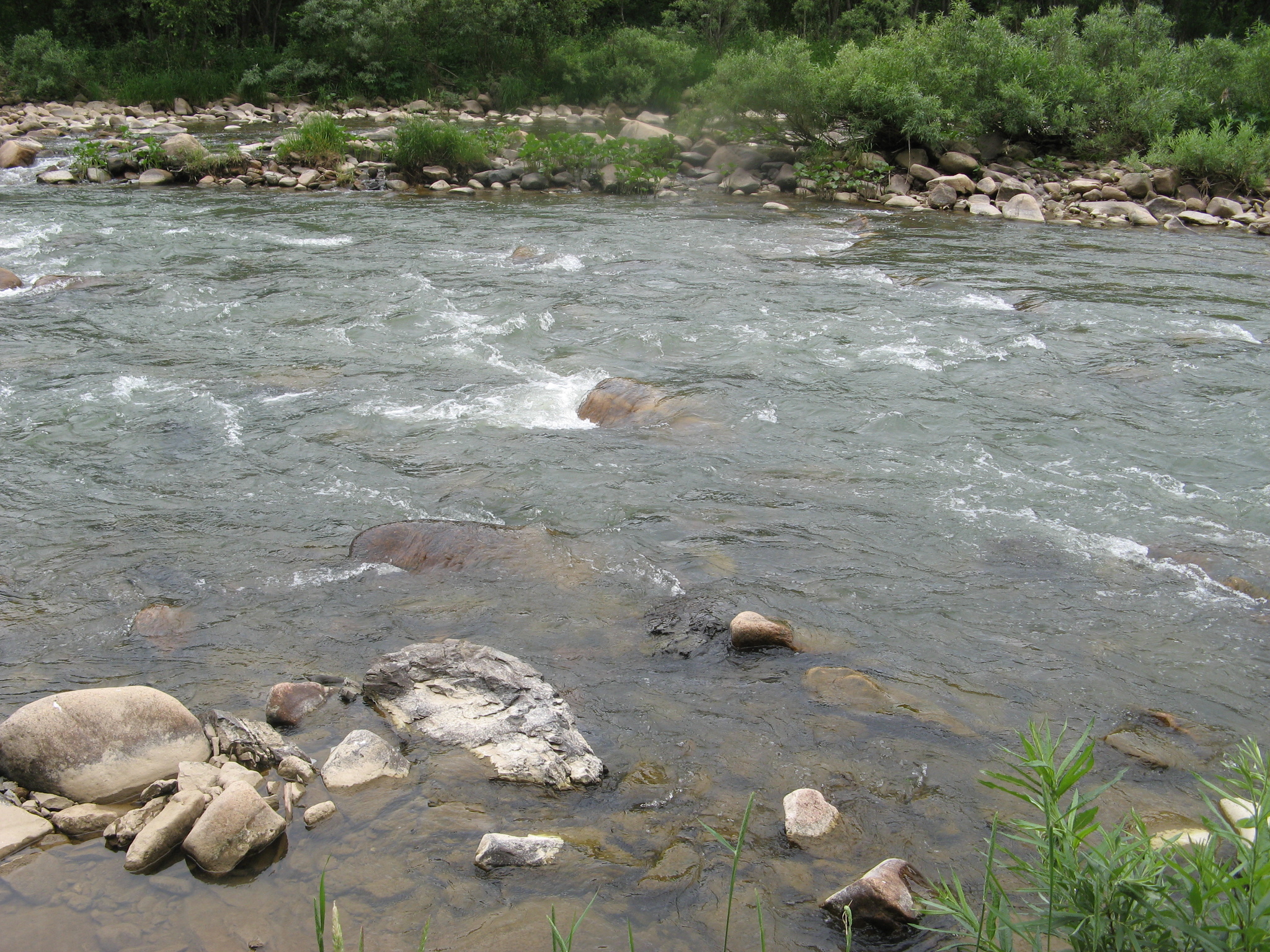 Foothills 2 - My, Altai region, Foothill, Longpost