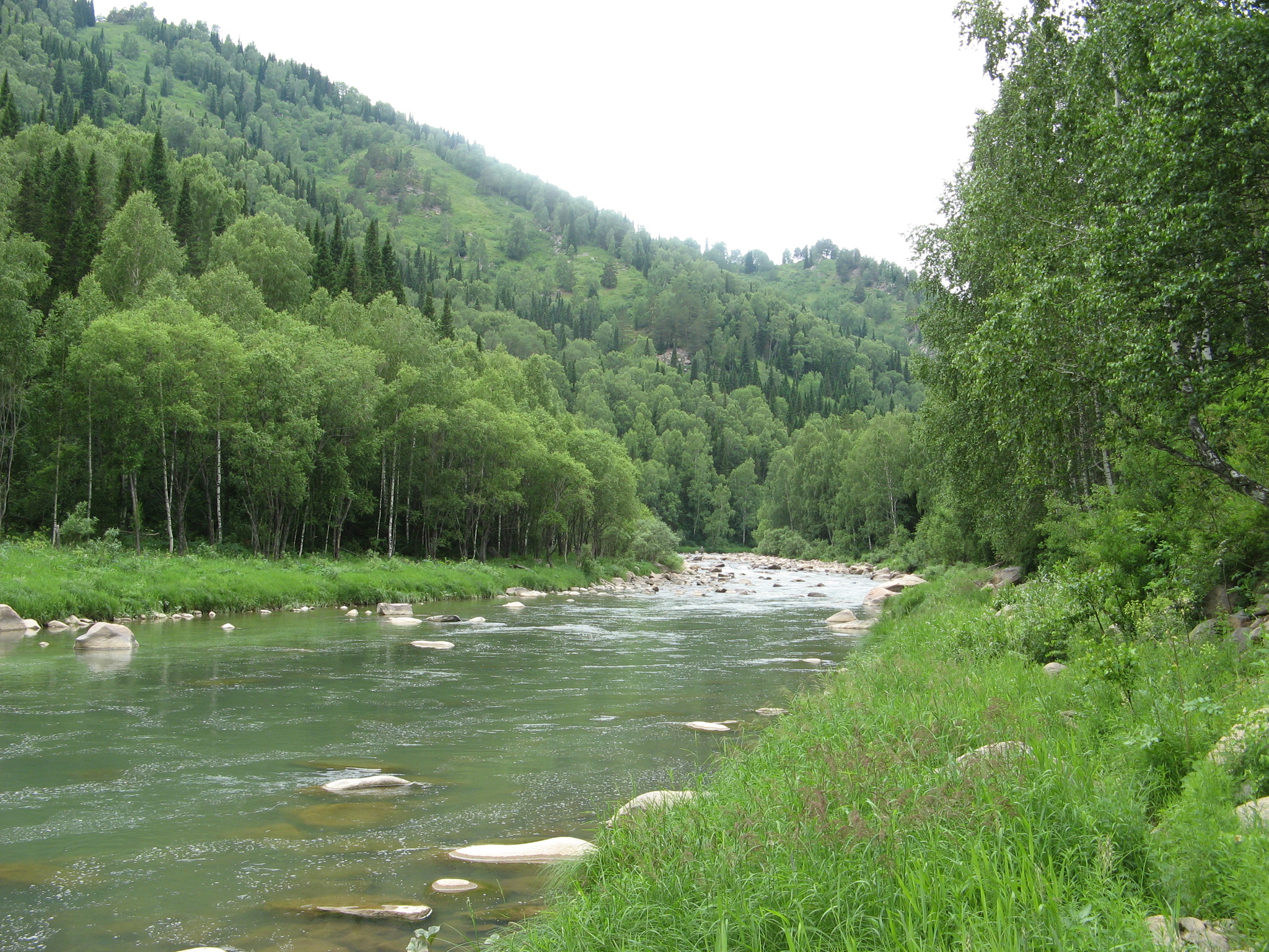 Foothills 2 - My, Altai region, Foothill, Longpost