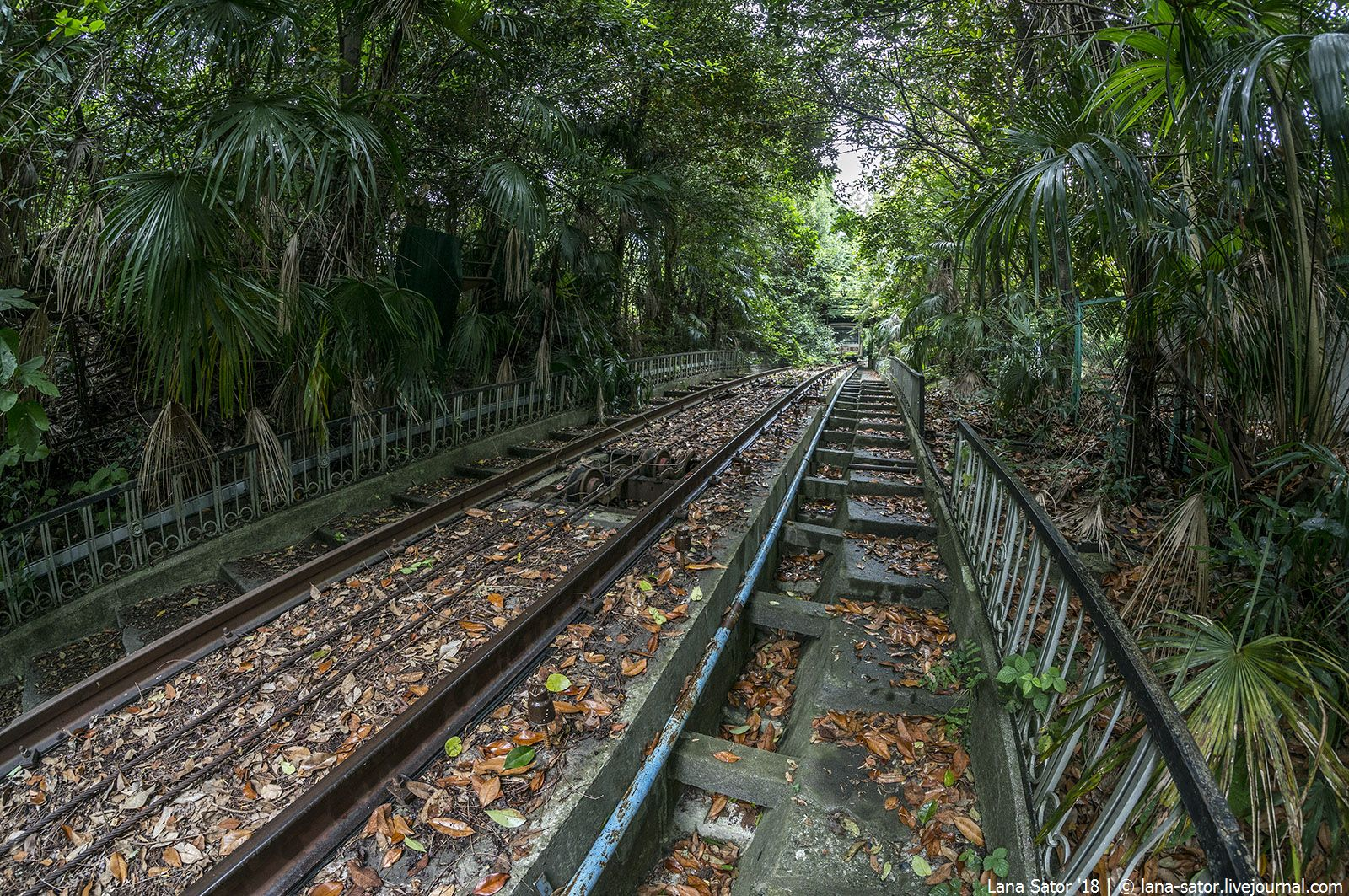 Abandoned funicular railway in Sochi - Funicular, Sochi, Longpost, Video, Abandoned