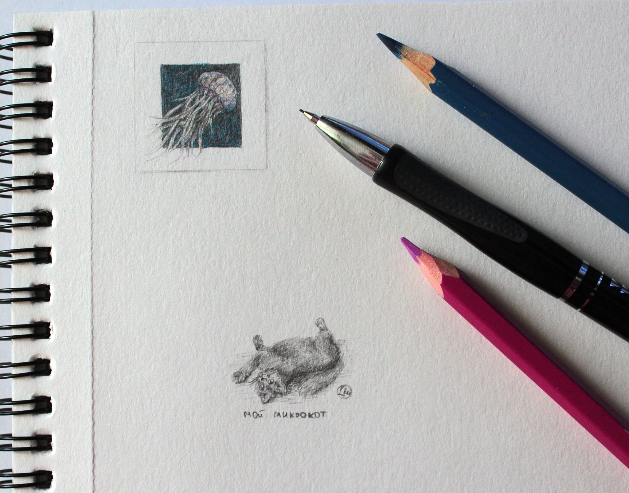 Micro animals. Continuation - My, Microworld, Drawing, Longpost