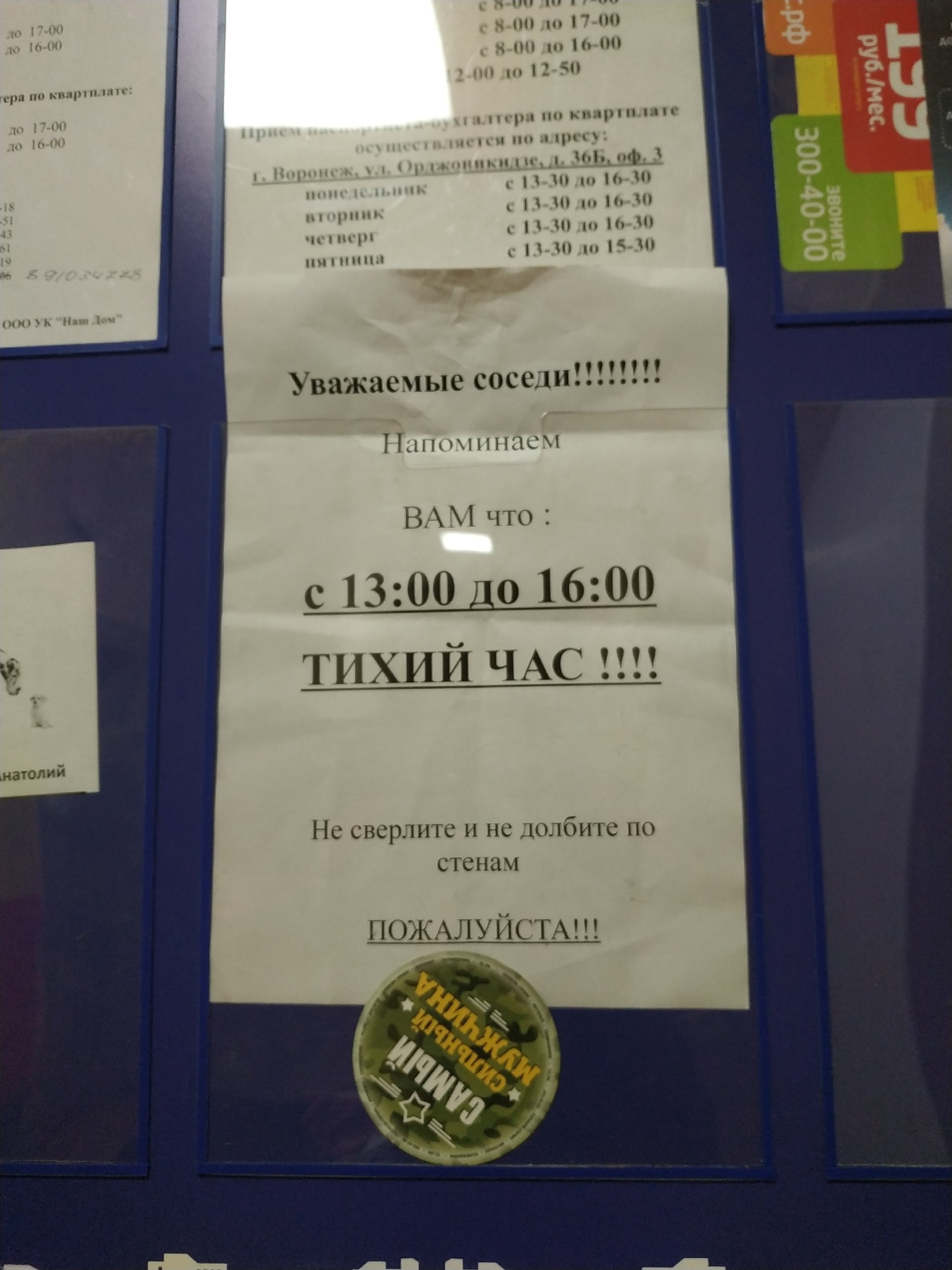 Тихий час!!! | Пикабу