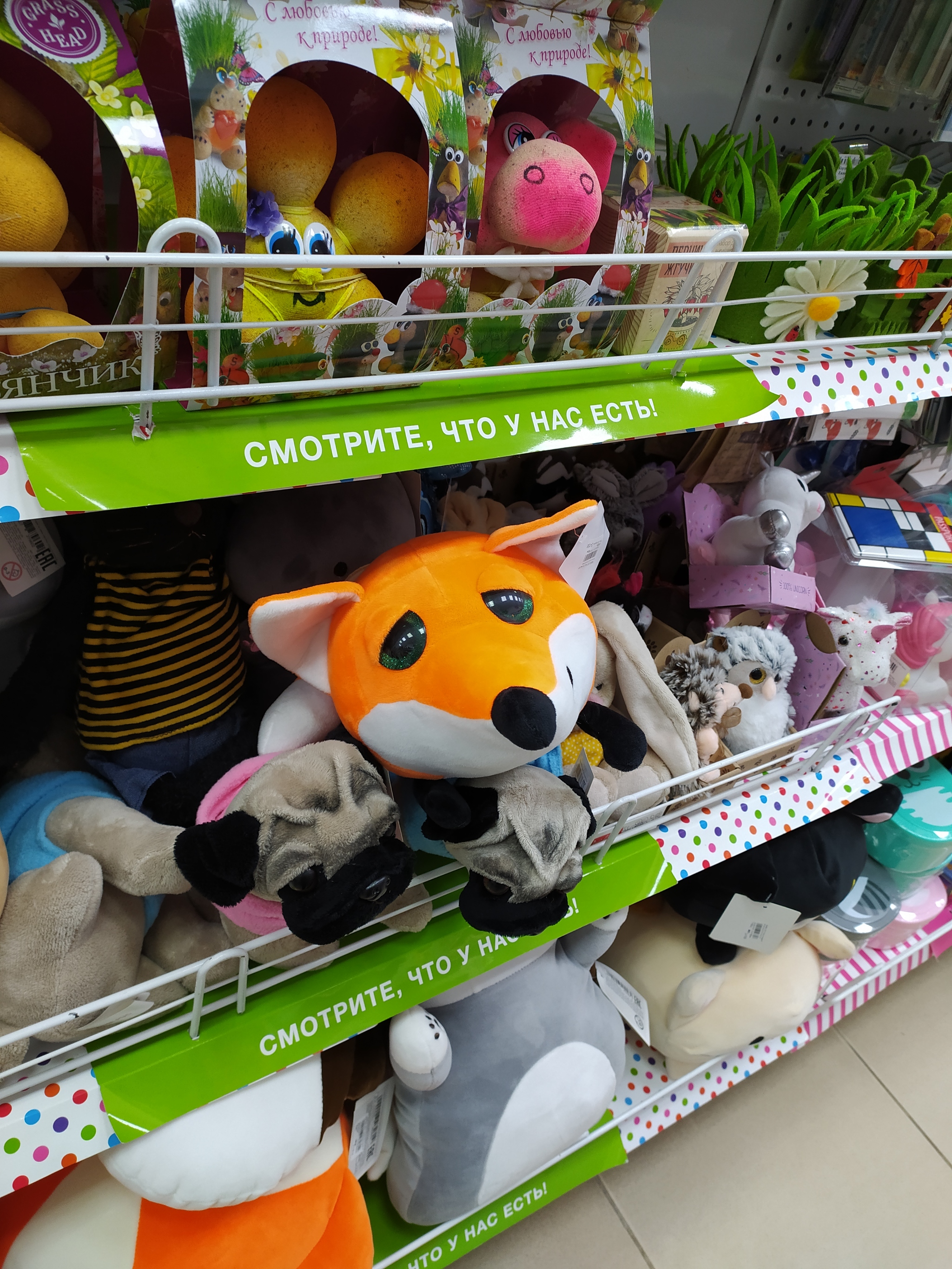 Dude, just buy me - My, Stoned fox, Soft toy, Longpost