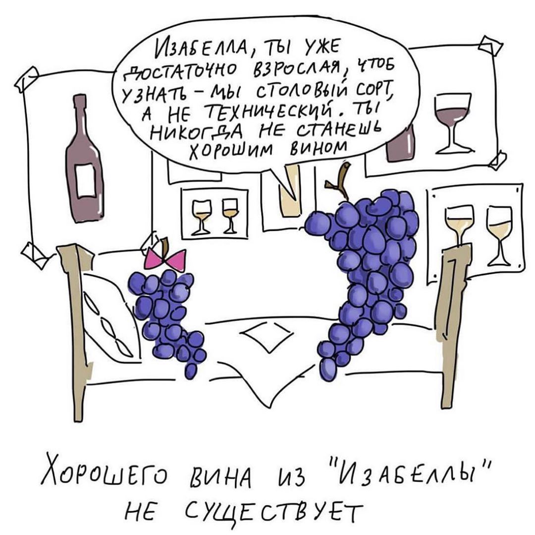 Вино мифы