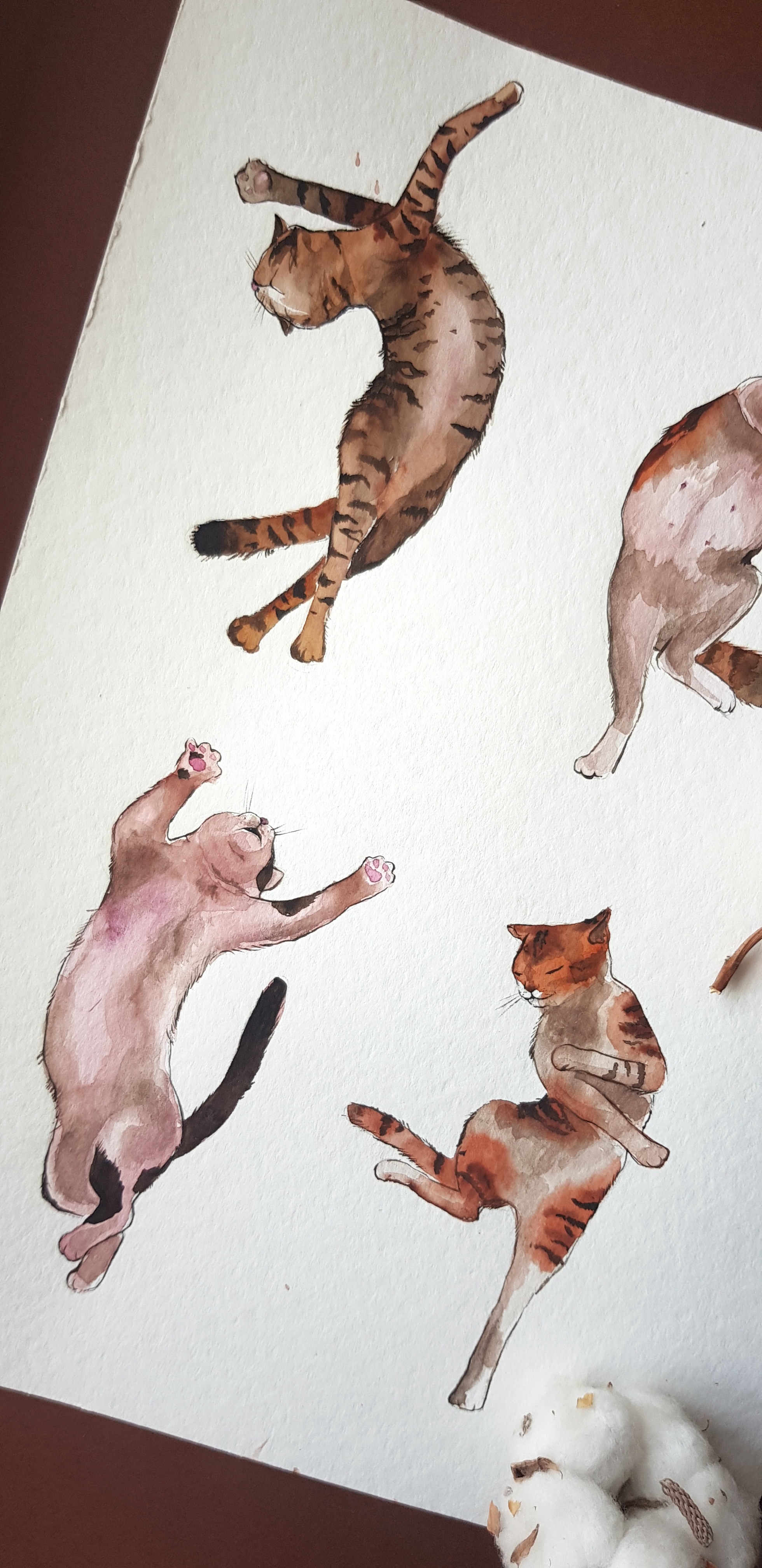 Dancing cats - My, Fat cats, Dancing, cat, Longpost, Drawing