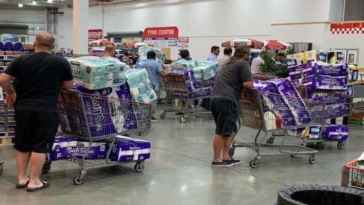 Why are people from all over the world buying toilet paper? - My, Pandemic, Epidemic, Coronavirus, Panic, People, Animals, Longpost