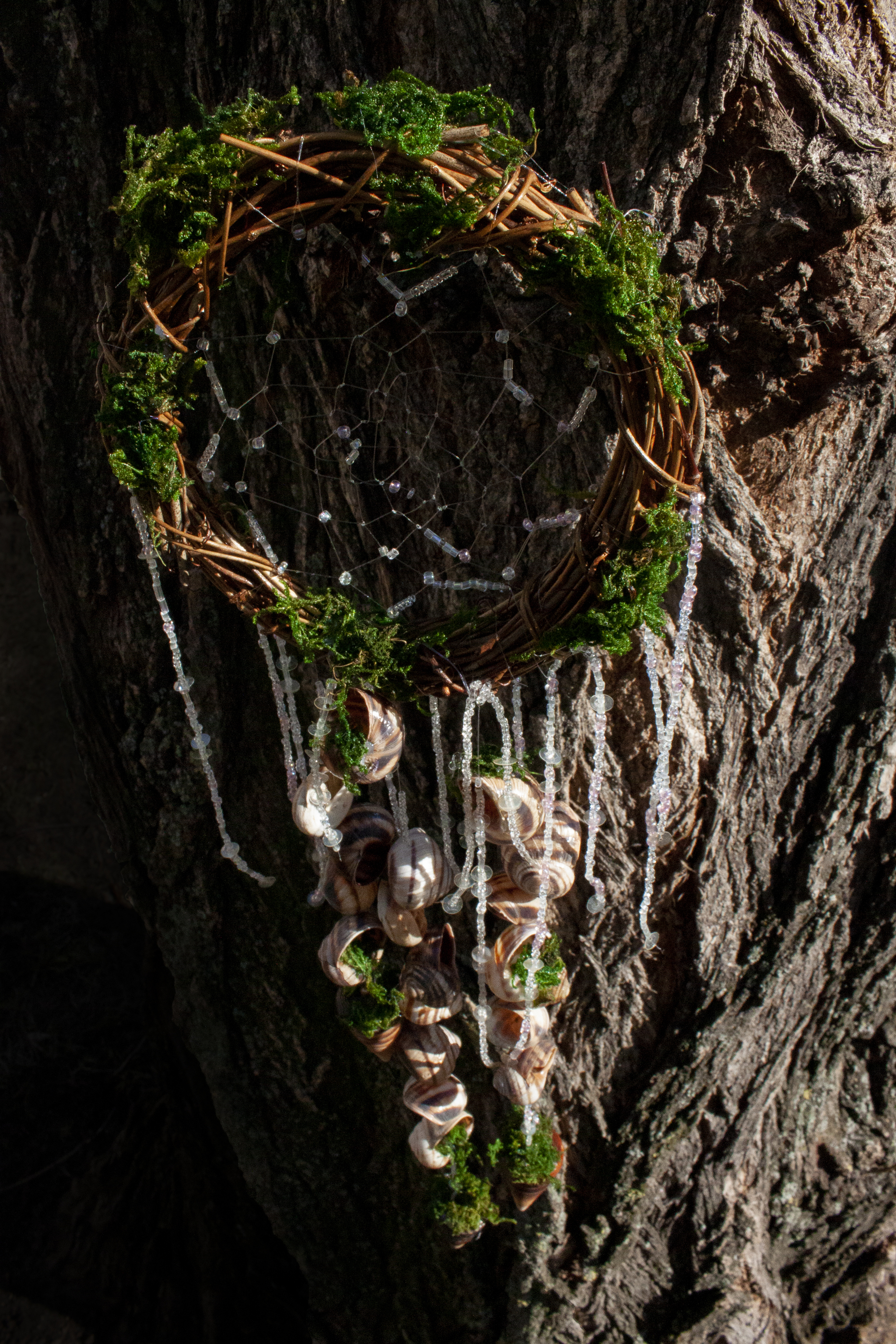 A piece of forest in a dream catcher - My, Dreamcatcher, Seashells, Needlework, Esoterics, Chersonesos, Forest, Longpost