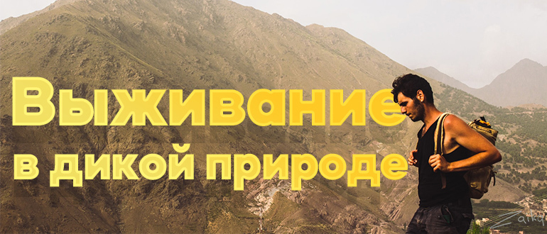 Выживание в дикой природе | Пикабу