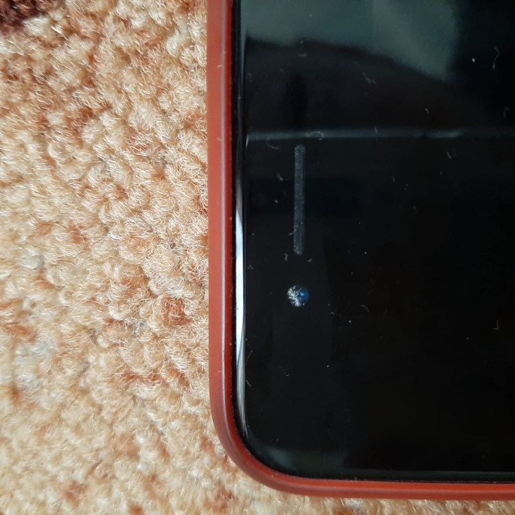 Dropped my phone in the water - My, Help, Need help with repair, iPhone