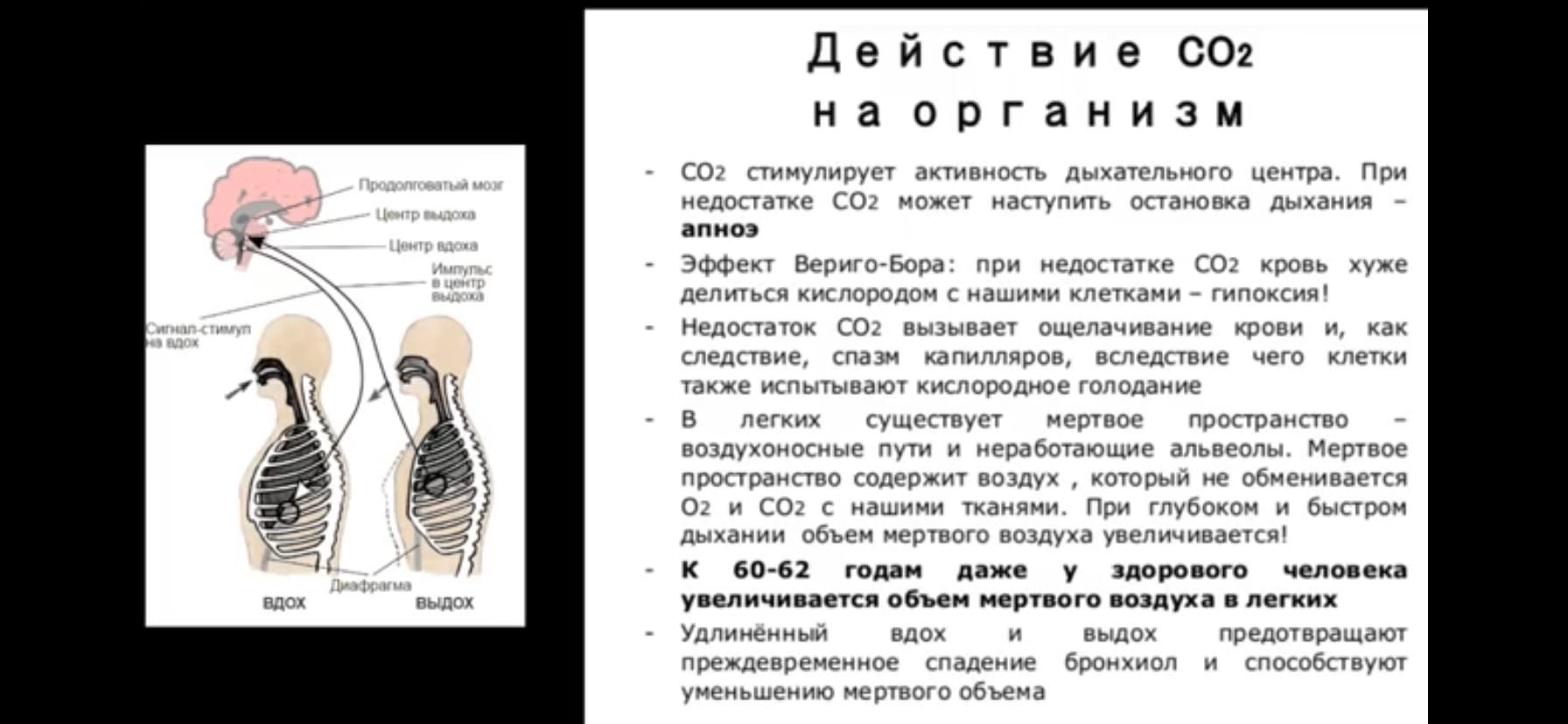 Как не заразится *макароновирусом или как поддерживать баланс организма - Моё, Коронавирус, Вирус, Здоровье, Простуда, Баланс, Медитация, Дыхание, Полезное, Видео, Длиннопост