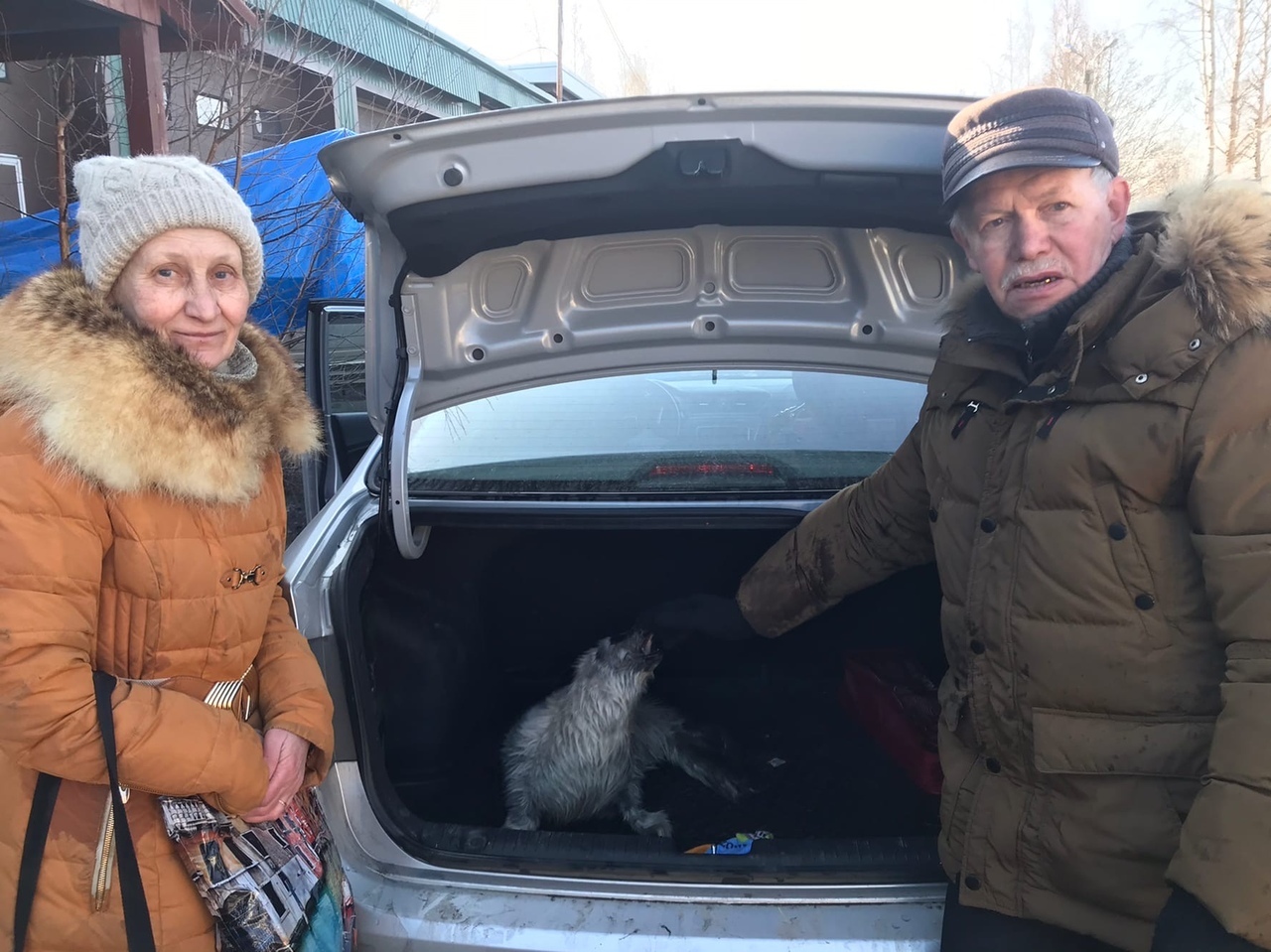 Kind St. Petersburg residents saved three more pinniped puppies - Seal, Puppies, Young, Saint Petersburg, Sestroretsk, Belek, Longpost, Positive