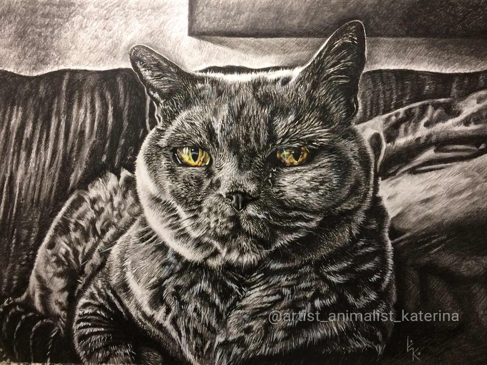 Monochrome portrait of a cat - My, Drawing, cat, Catomafia, Monochrome, Creation