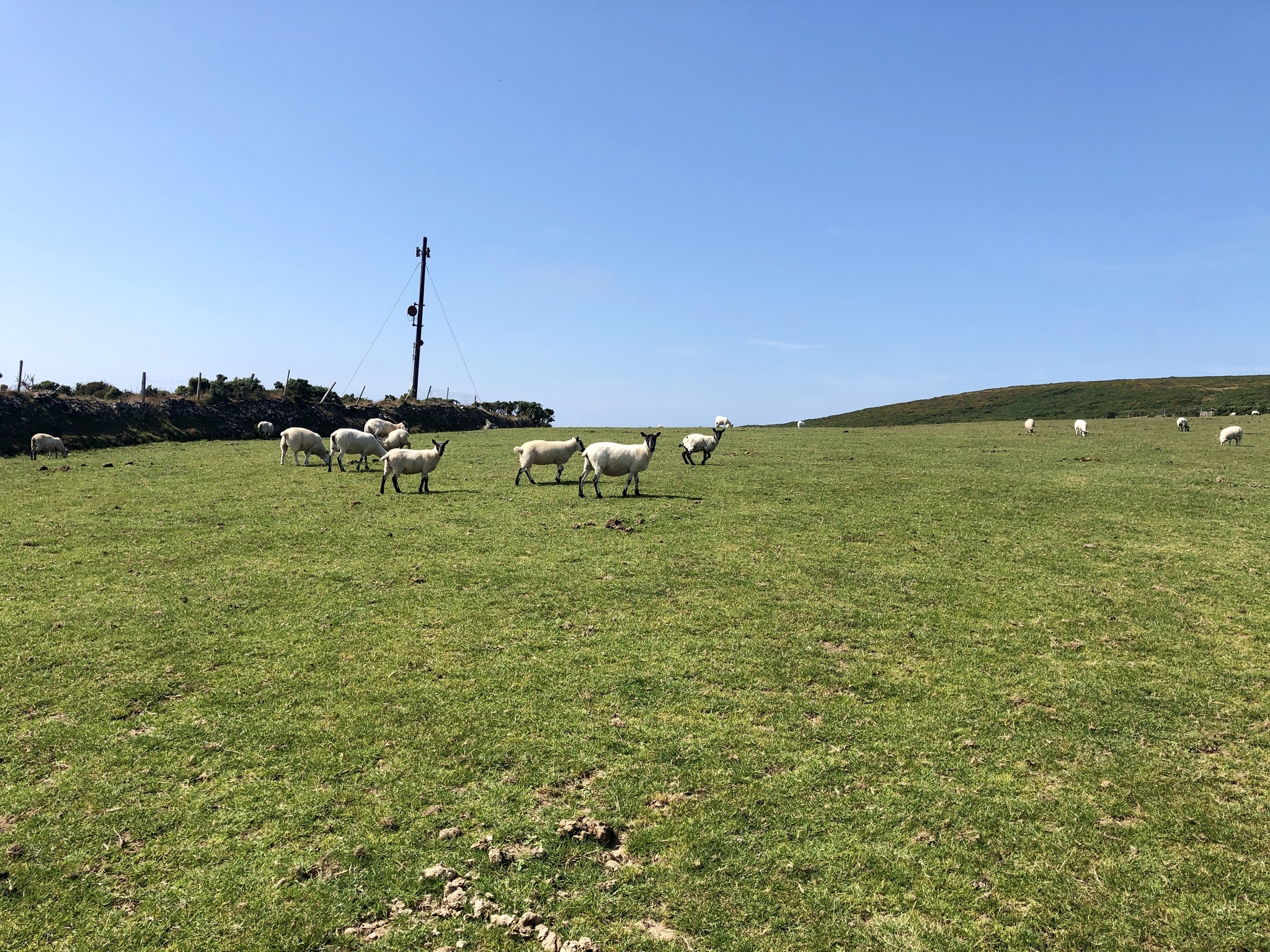 Walk through Heddon Valley, North Devon, England (part 2) - My, Great Britain, England, Walk, Hiking, Excursion, Mobile photography, Longpost