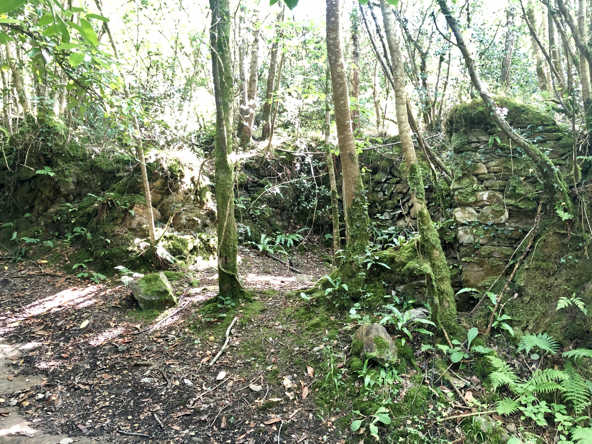 Прогулка по Heddon Valley, Северный Девон, Англия (часть 2) - Моё, Великобритания, Англия, Прогулка, Пешие прогулки, Экскурсия, Мобильная фотография, Длиннопост