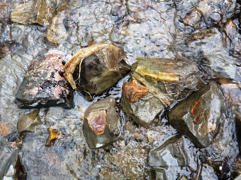 150,000,000 BC - My, Paleontology, Longpost, Nature, The photo, Ammonite