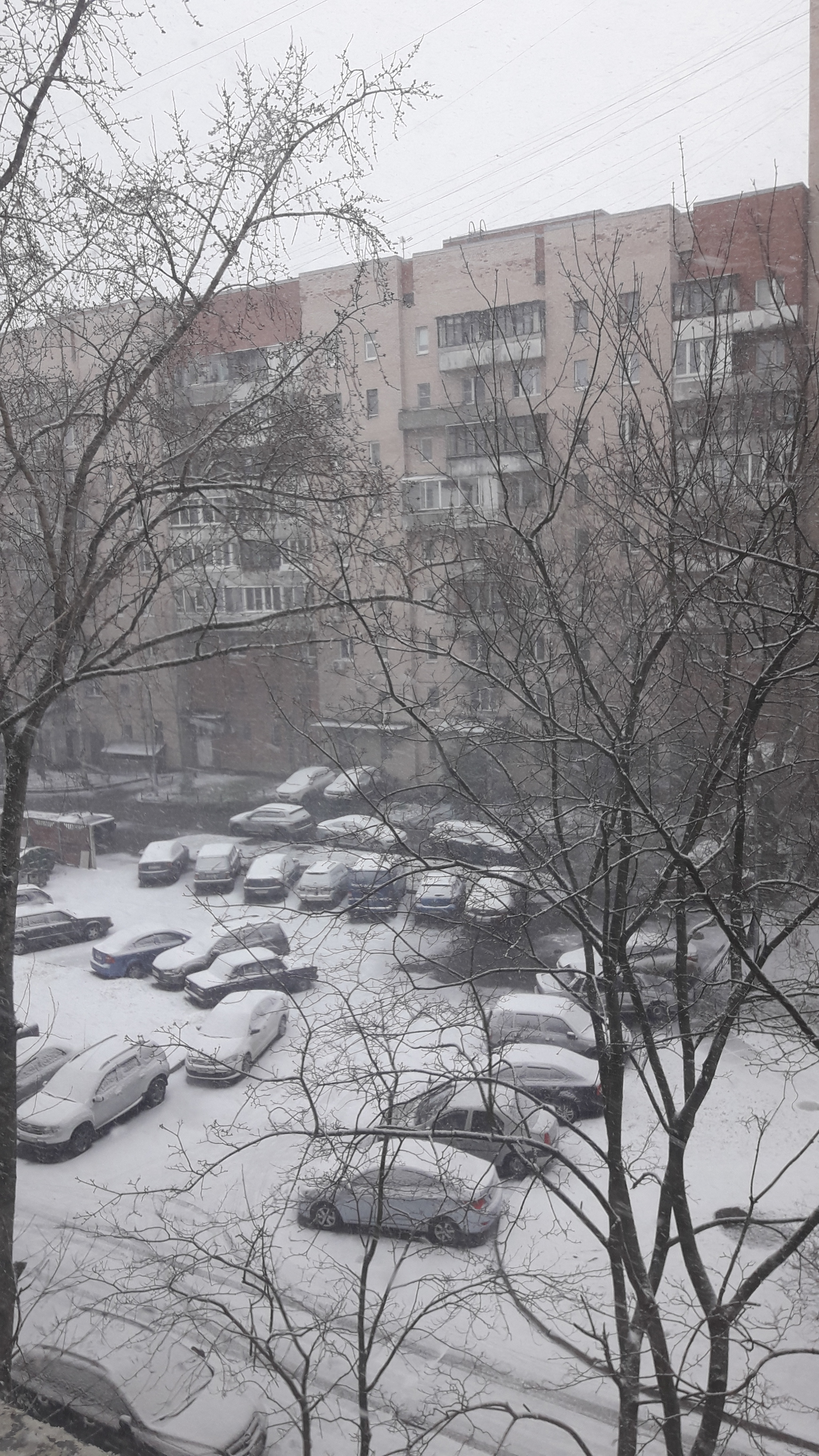 Happy April, 1! - My, Snow, Winter, Saint Petersburg