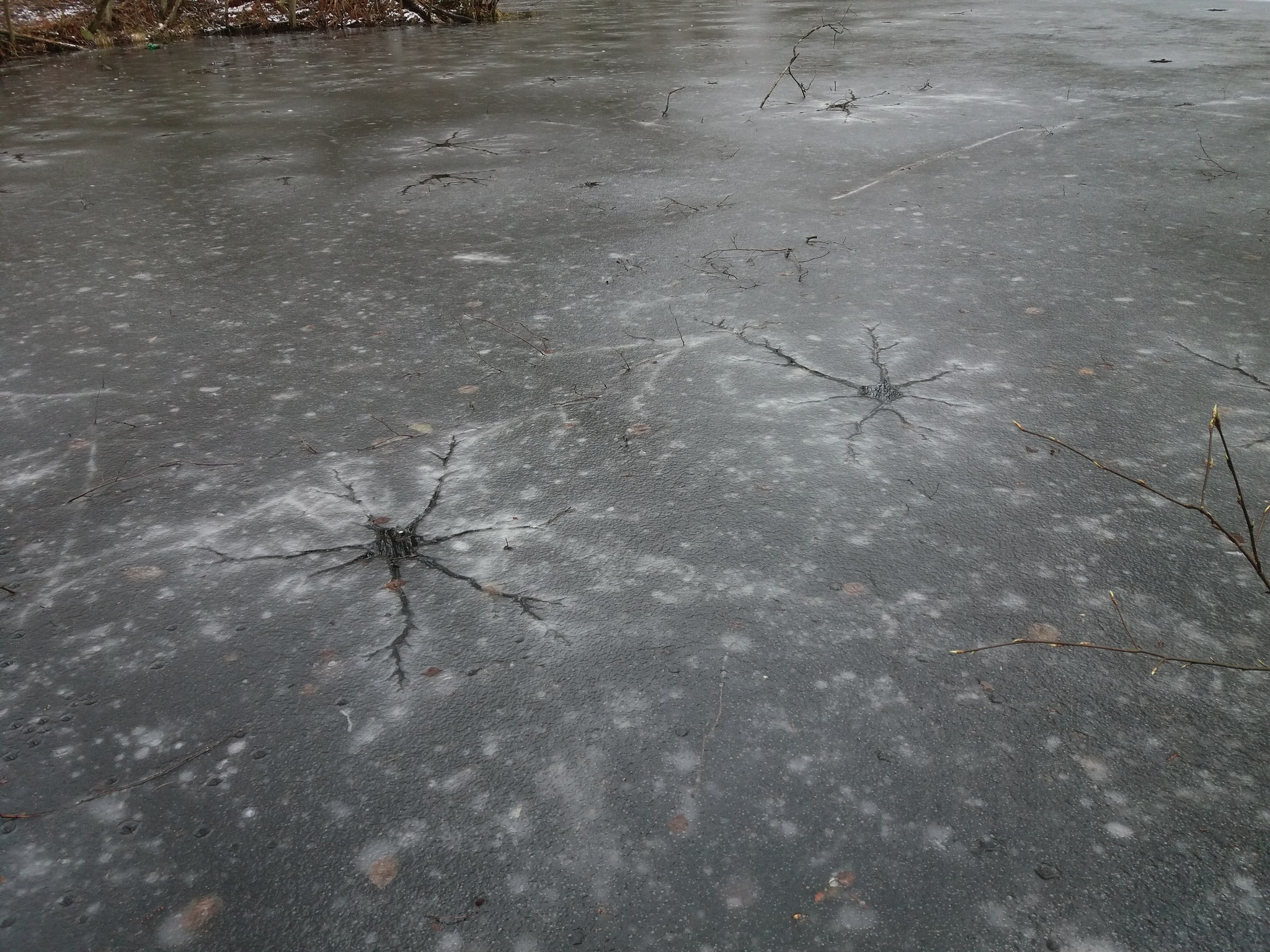 Thawed patches in the form of neurons on the lake - My, Ice, Wrong ice, Nature, Natural phenomena, Longpost