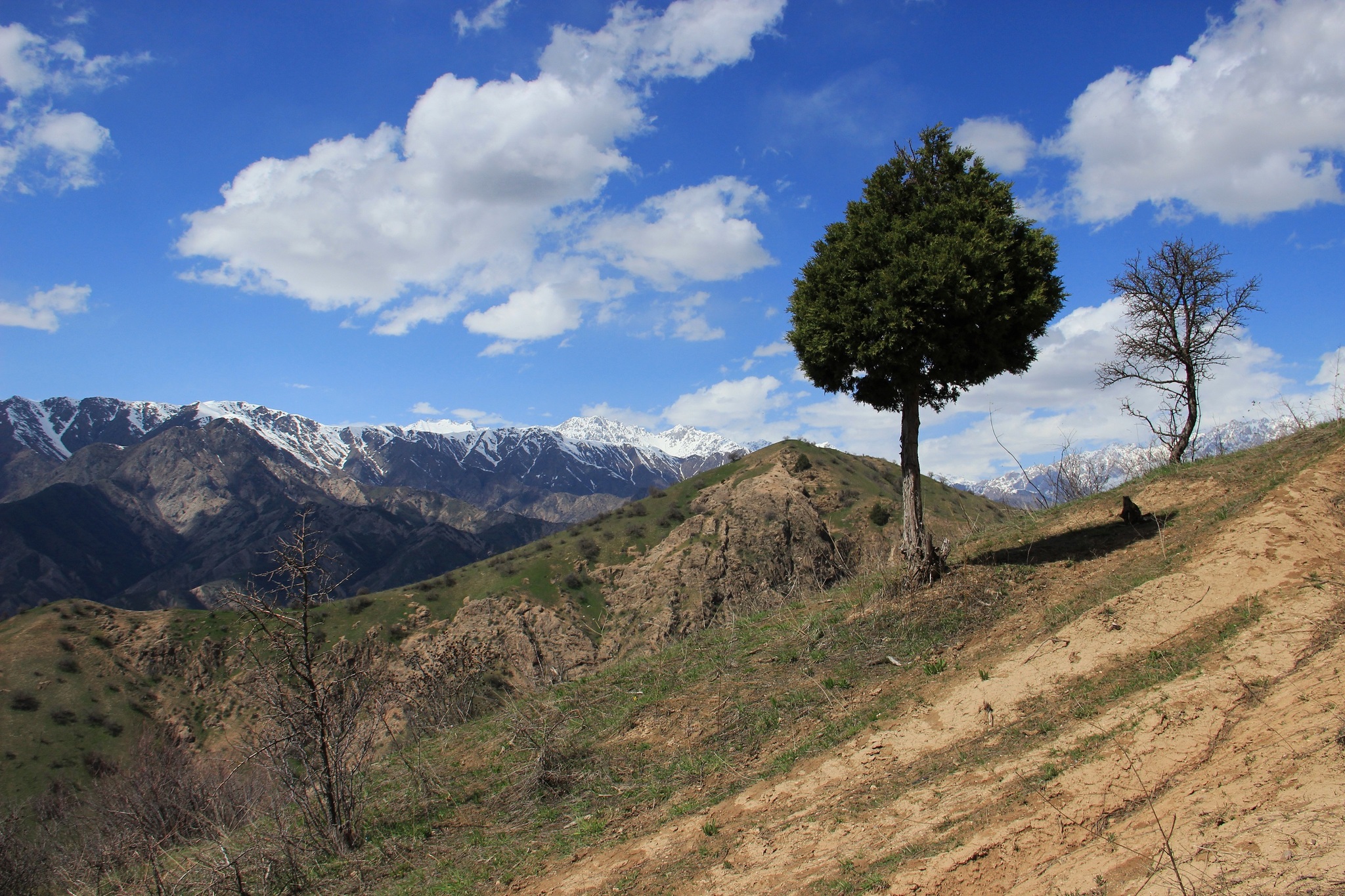 Weekend route - My, The mountains, Pass, Snow, Nature, Tajikistan, Longpost