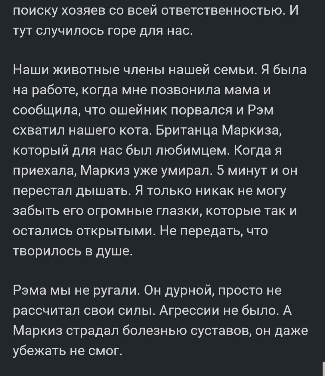 Не судите, да не судимы будете - Моё, Котомафия, Кот, Член семьи, Любимцы, Потеря, Крик души, Надоело, Длиннопост