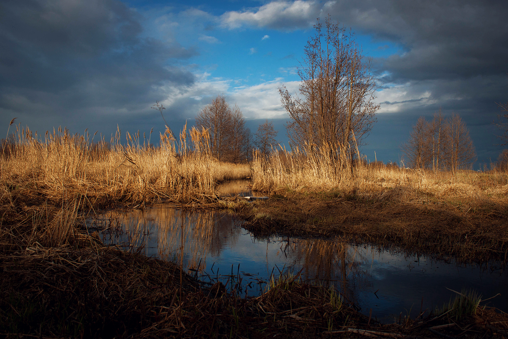 Photos from the village - My, Spring, Lamb, Pastoral, Nature, The photo, Village, Canon, Longpost