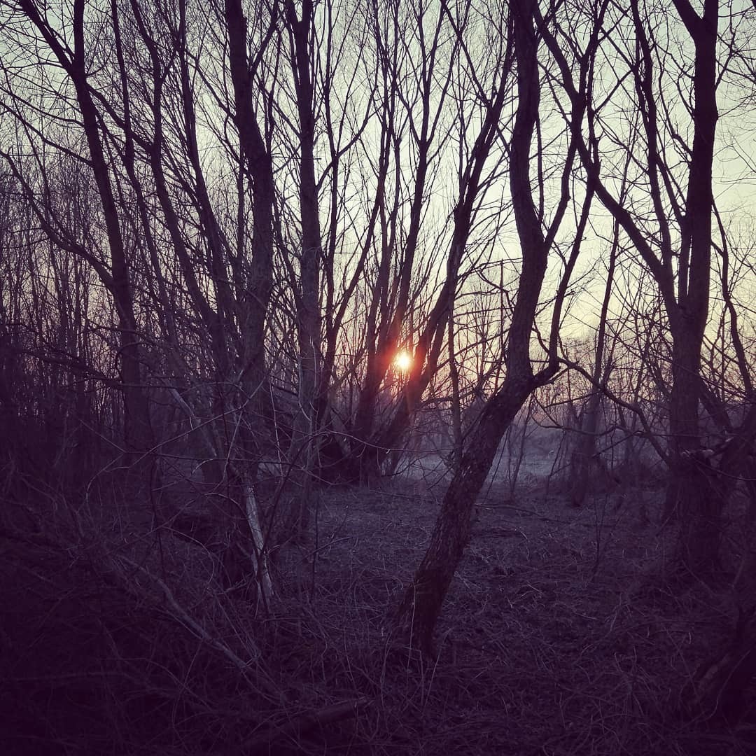 Belarus mystical - My, Forest, Mystic, Sunset, Nature, Self-isolation, Travels, Light, Dark