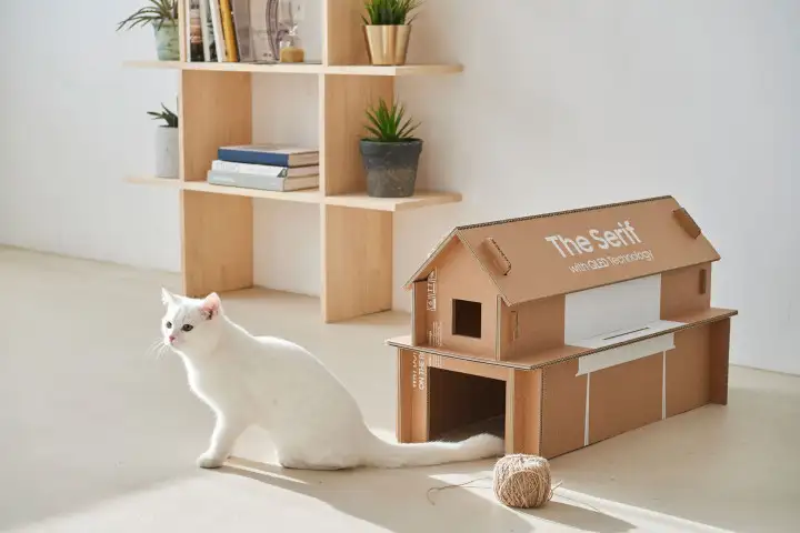 Samsung TV boxes will turn into tables and cat houses - news, Samsung, cat, Package, Box, Pet house