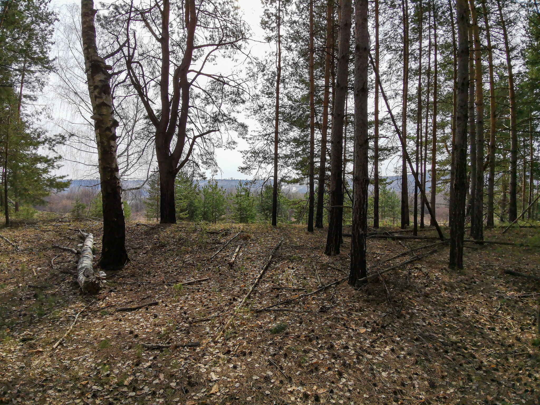 Spring - My, The photo, Nature, A bike, Dzerzhinsk, Canon 800D, Huawei mate 20, Video, Longpost