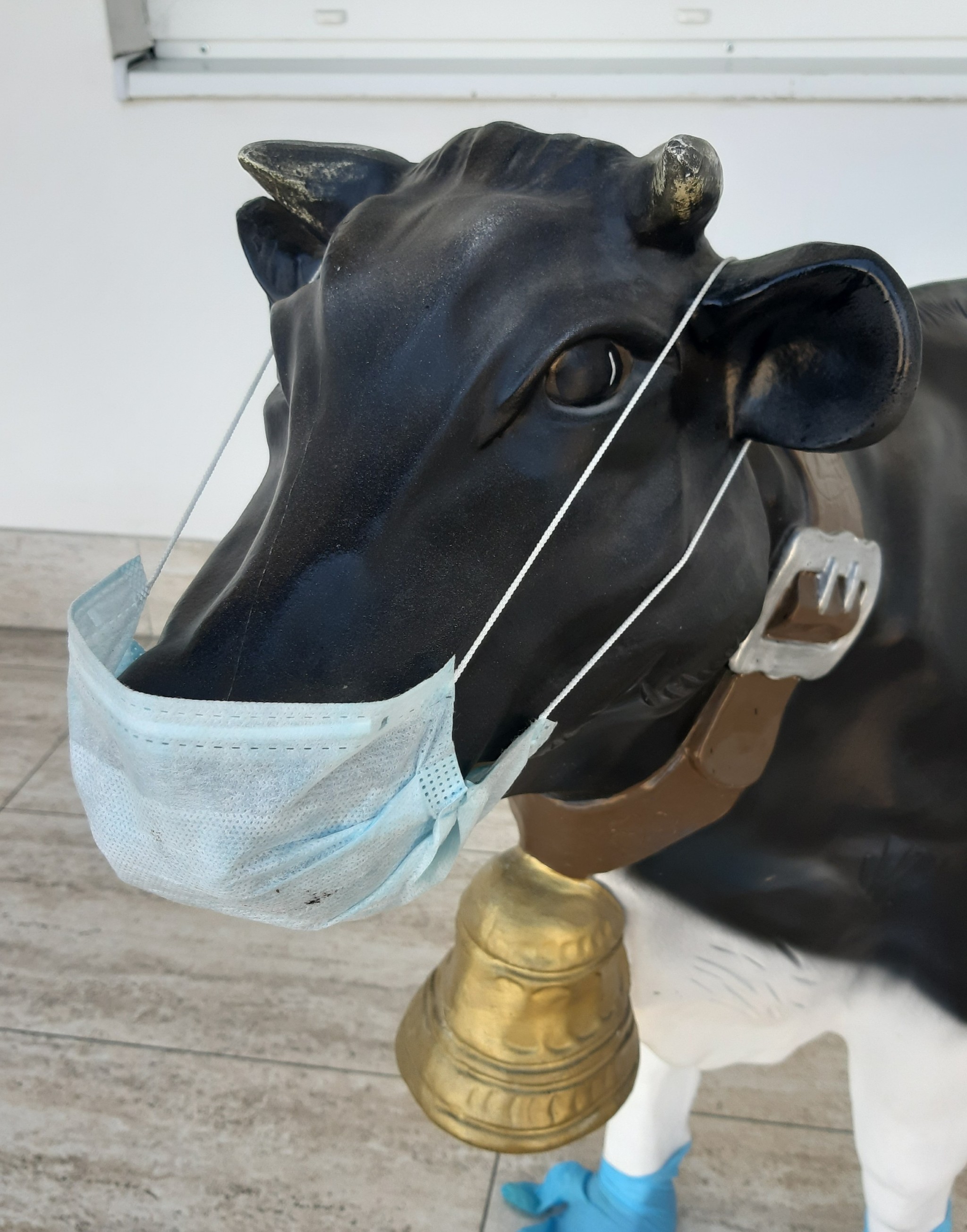 I walk past the veterinary pharmacy, and there... - Vetapteka, Cow, Strange humor, Longpost