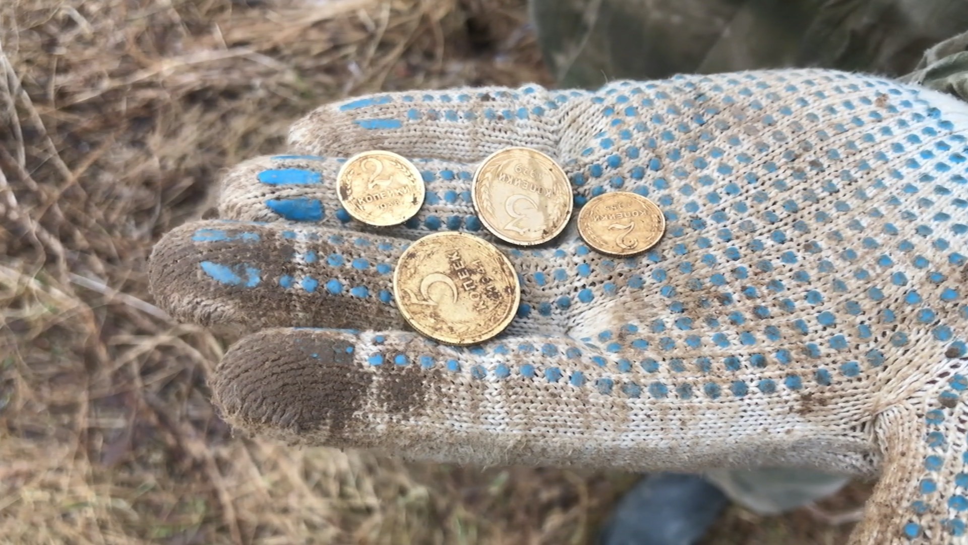 Disappeared settlement, unexpected finds! A pile of silver in the Abandoned Royal Village! - My, Abandoned, Abandoned villages, Treasure, Treasure hunt, Metal detector, Stalker, Video, Longpost