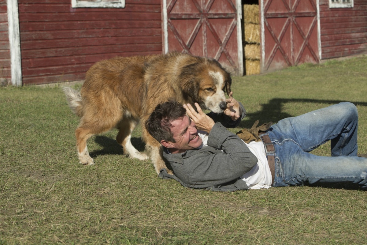 Dennis Quaid - 66 - Actors and actresses, Birthday, My enemy, Radio waves, Day after tomorrow, Longpost, Dennis Quaid