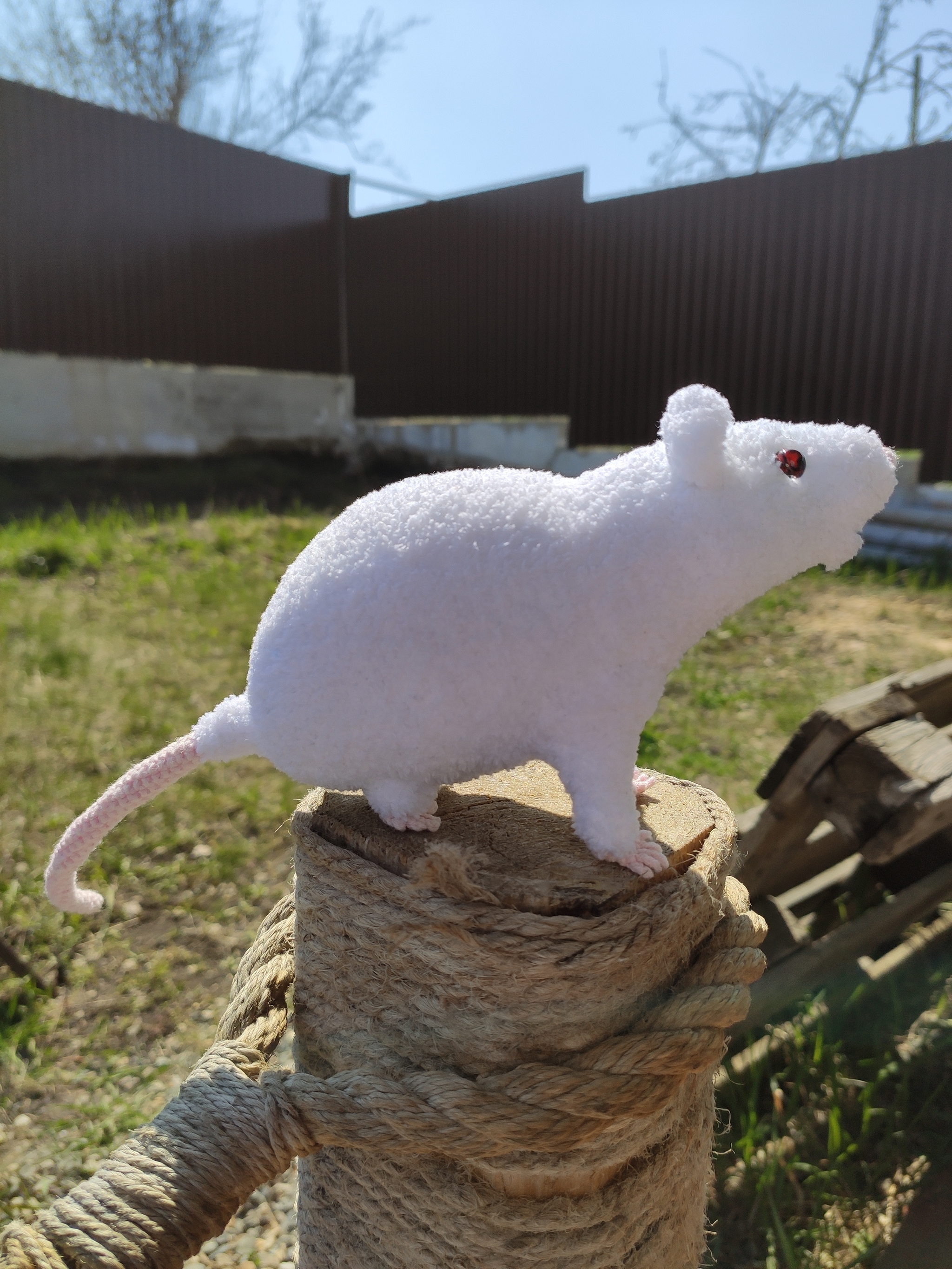 White rat - My, Needlework without process, Crochet, Rat, Longpost