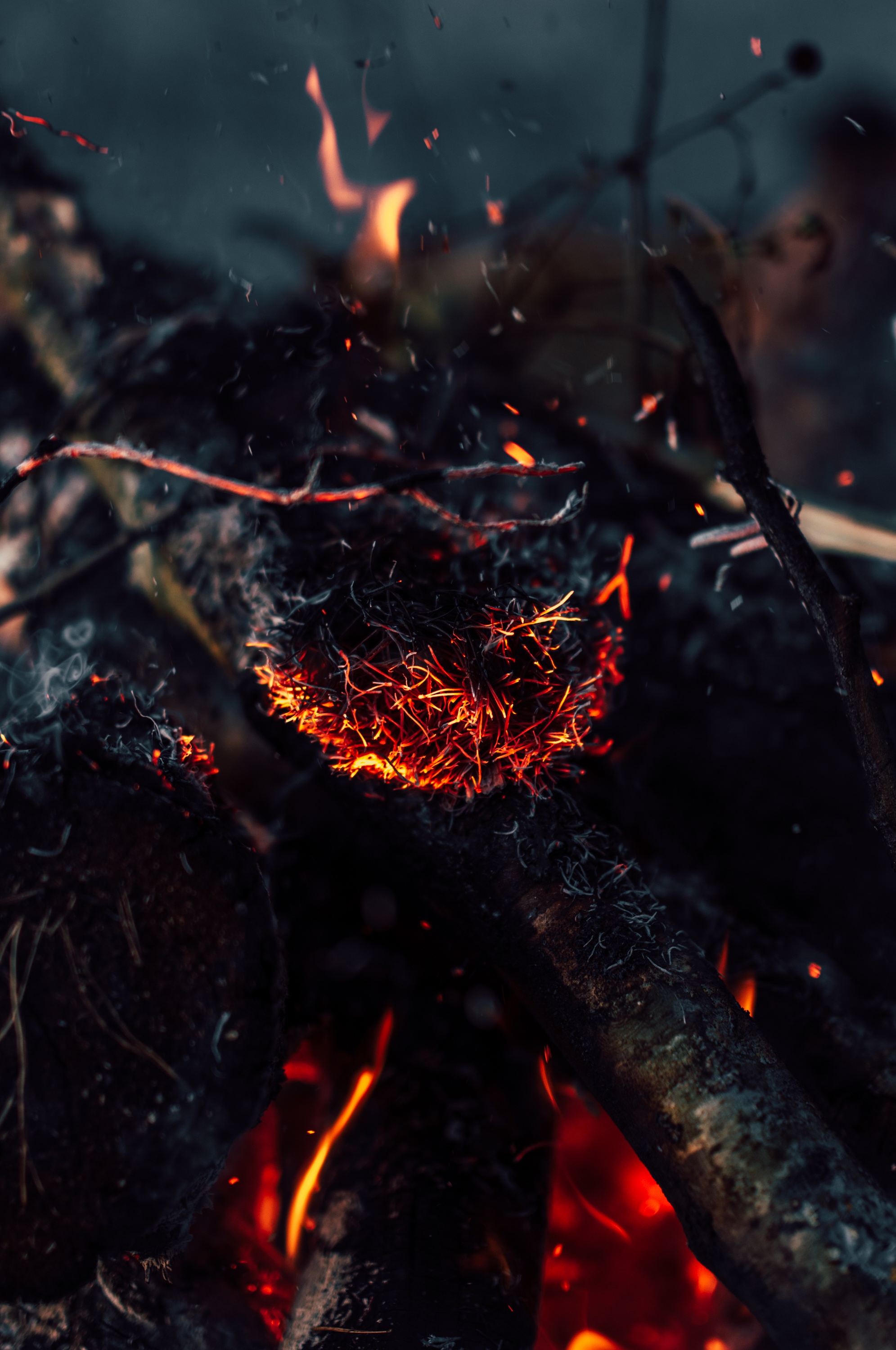 Food by the fire - My, Bonfire, Evening, Food, Sunset, Forest, Nature, Hike, The photo, Longpost